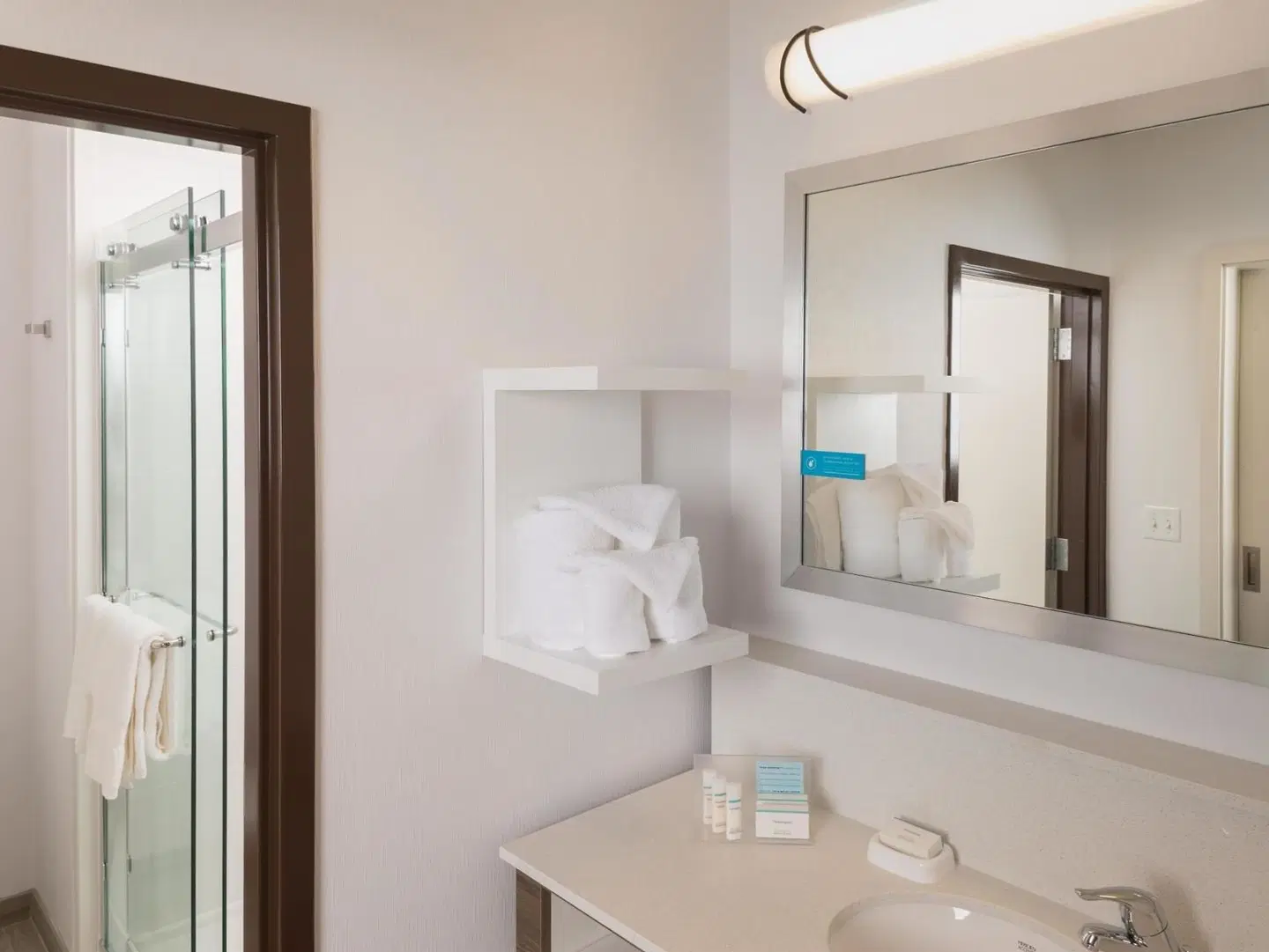 Hampton Inn & Suites Asheville Biltmore Village Badezimmer