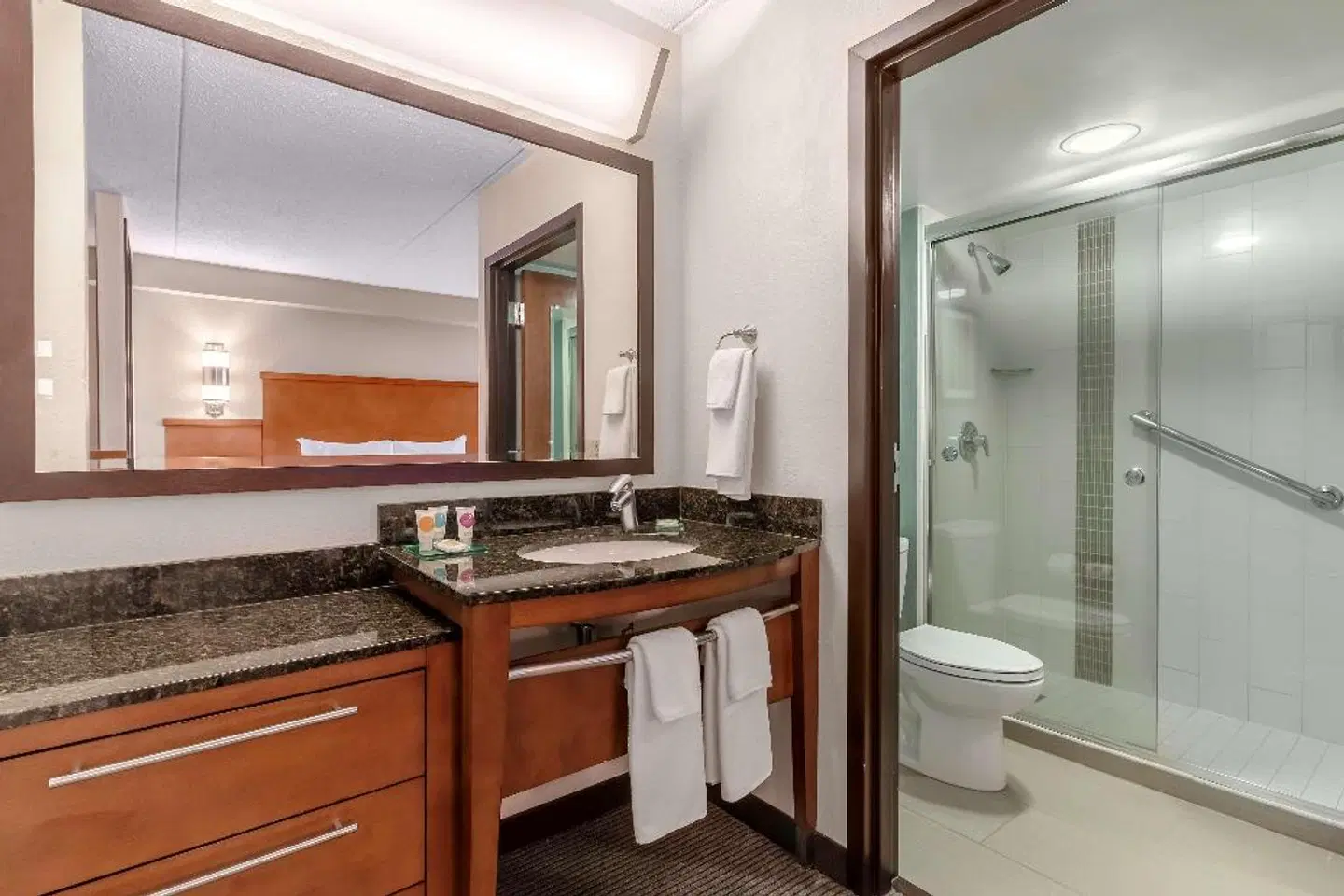 Hyatt Place Charlotte Airport/Tyvola Road Badezimmer