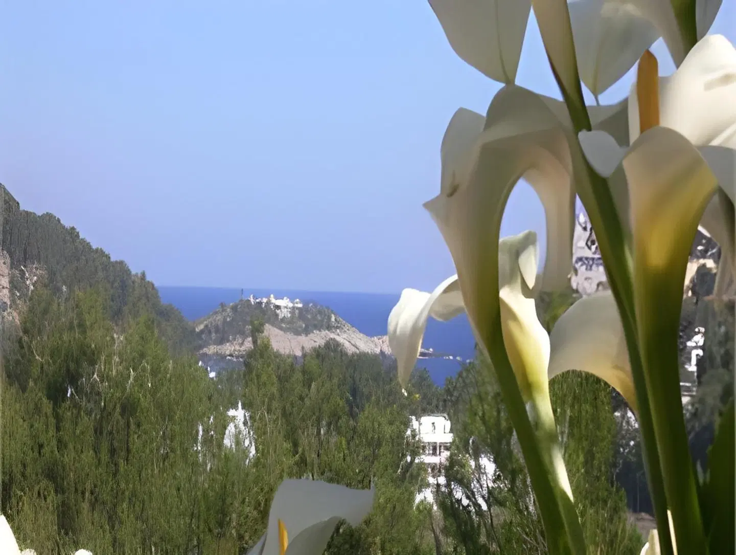 Rural Villa Ca'n Maries SPORTS_AND_LEISURE