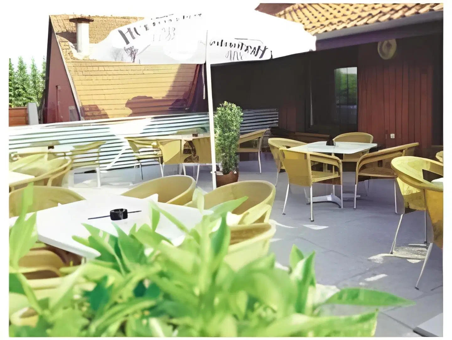 Fischer Terrasse