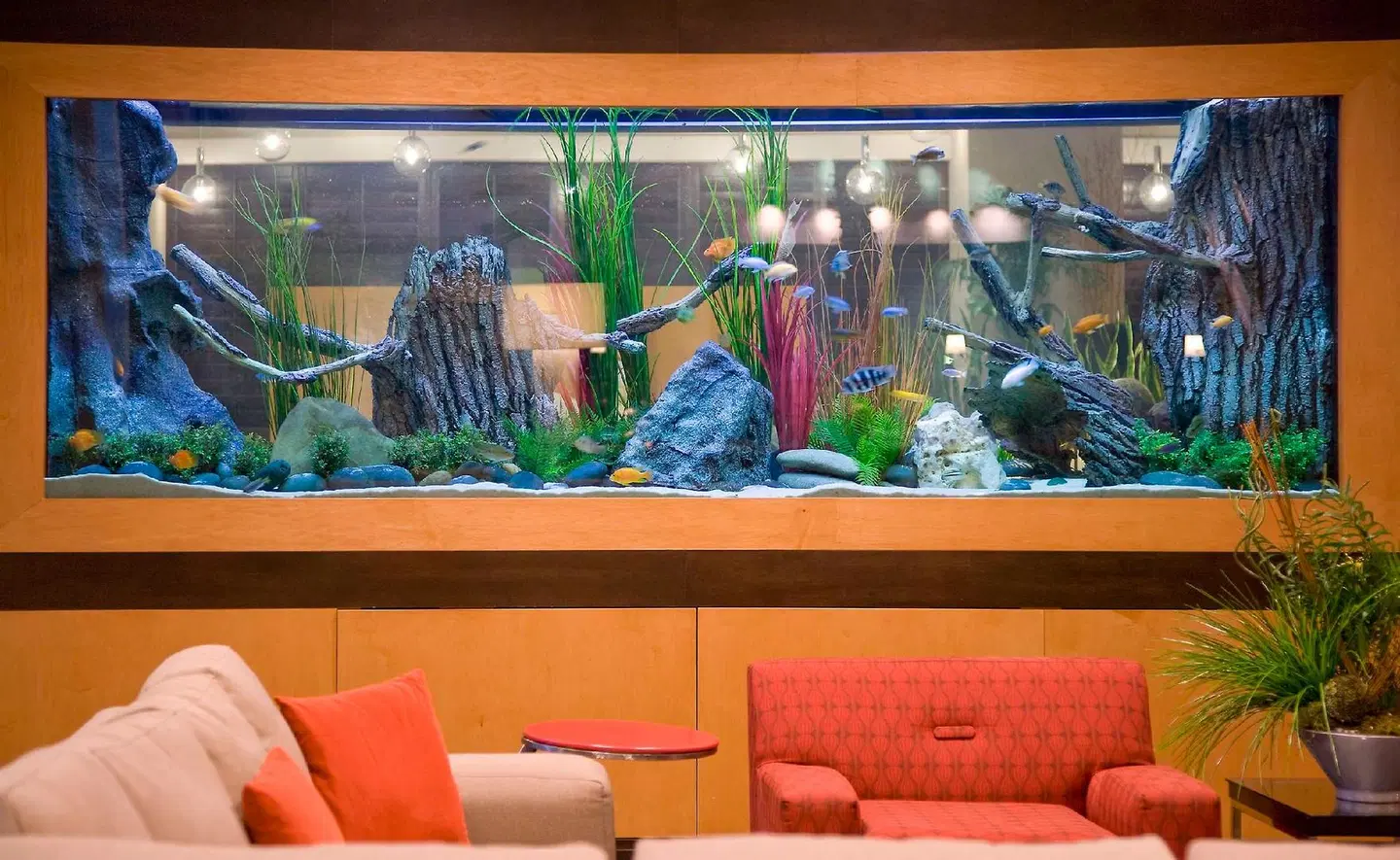 Embassy Suites by Hilton Houston-Energy Corridor Bar