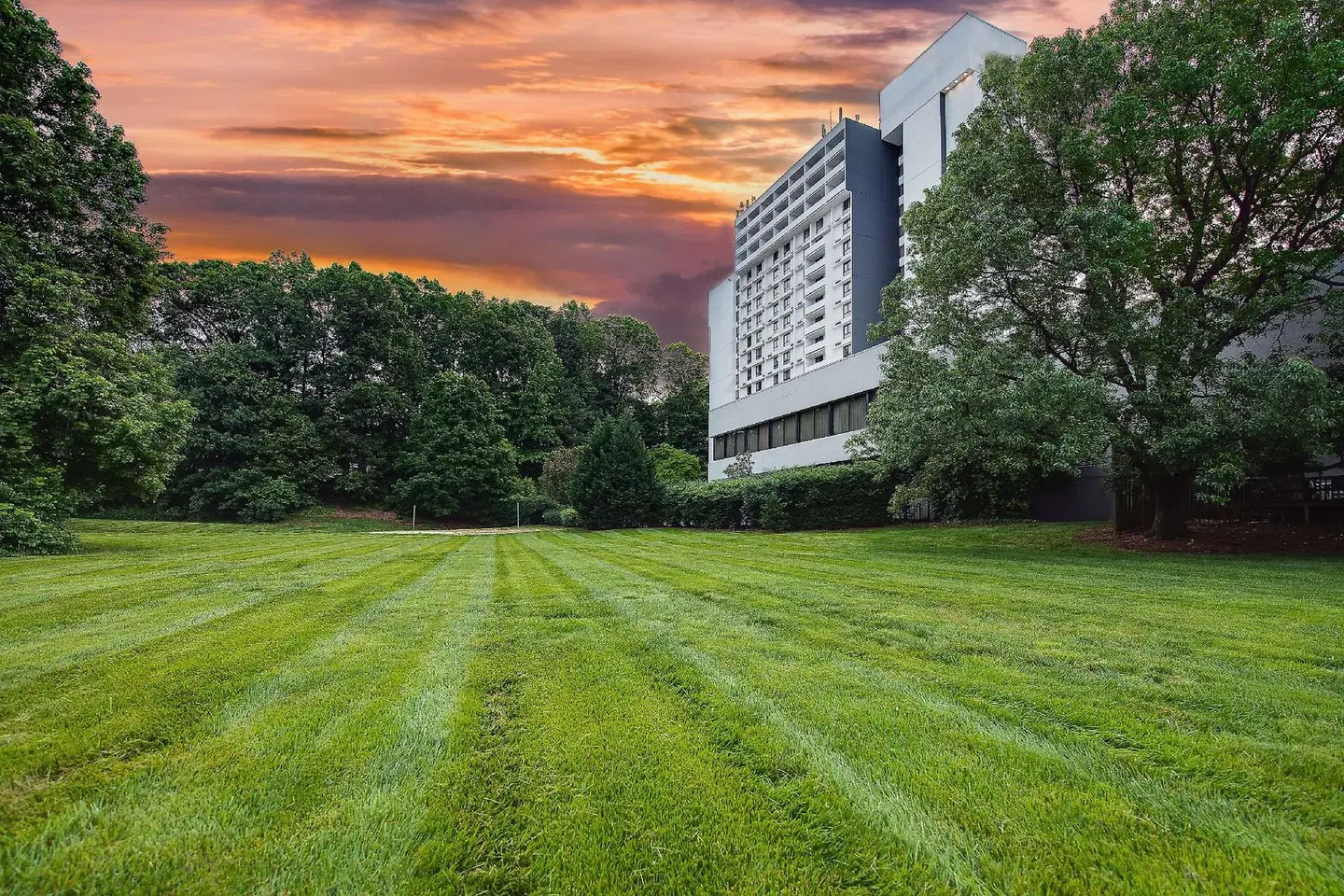 Sonesta Charlotte Executive Park EXTERIOR