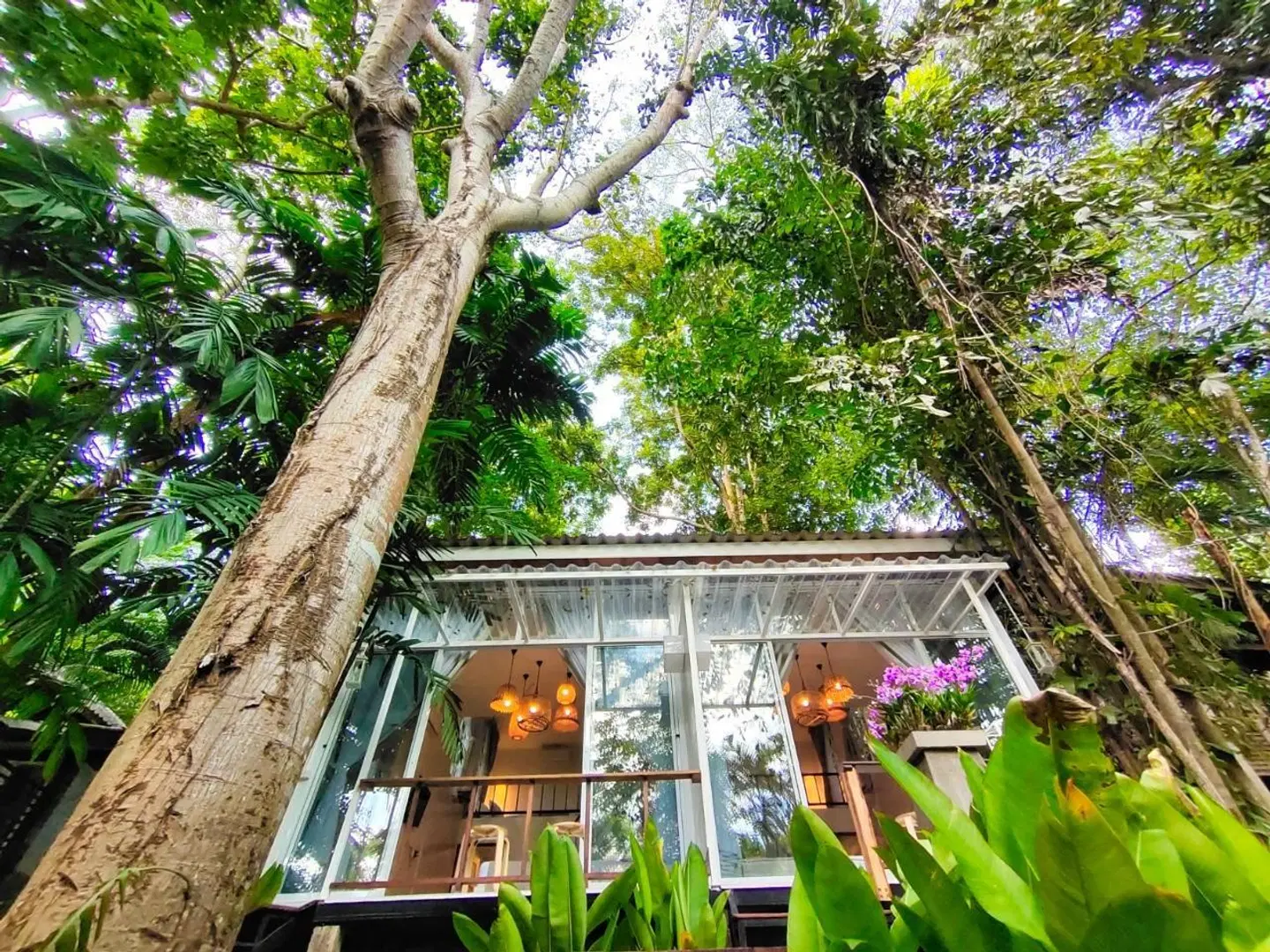 Rain Forest Resort Phitsanulok LANDSCAPE