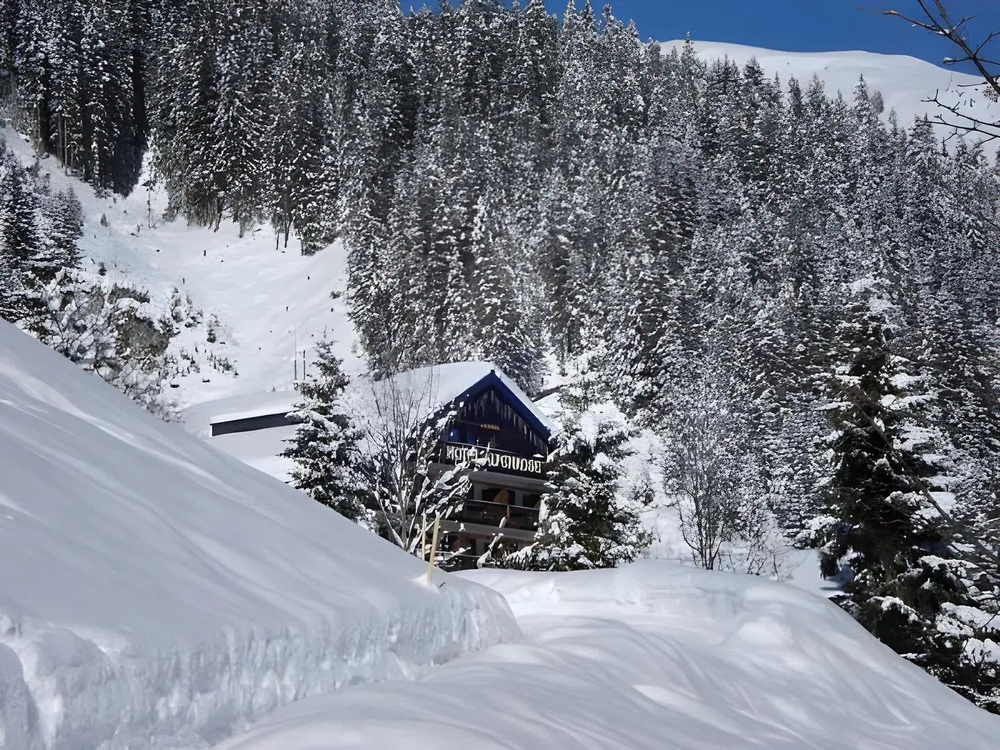Hotel Alpenrose LANDSCAPE