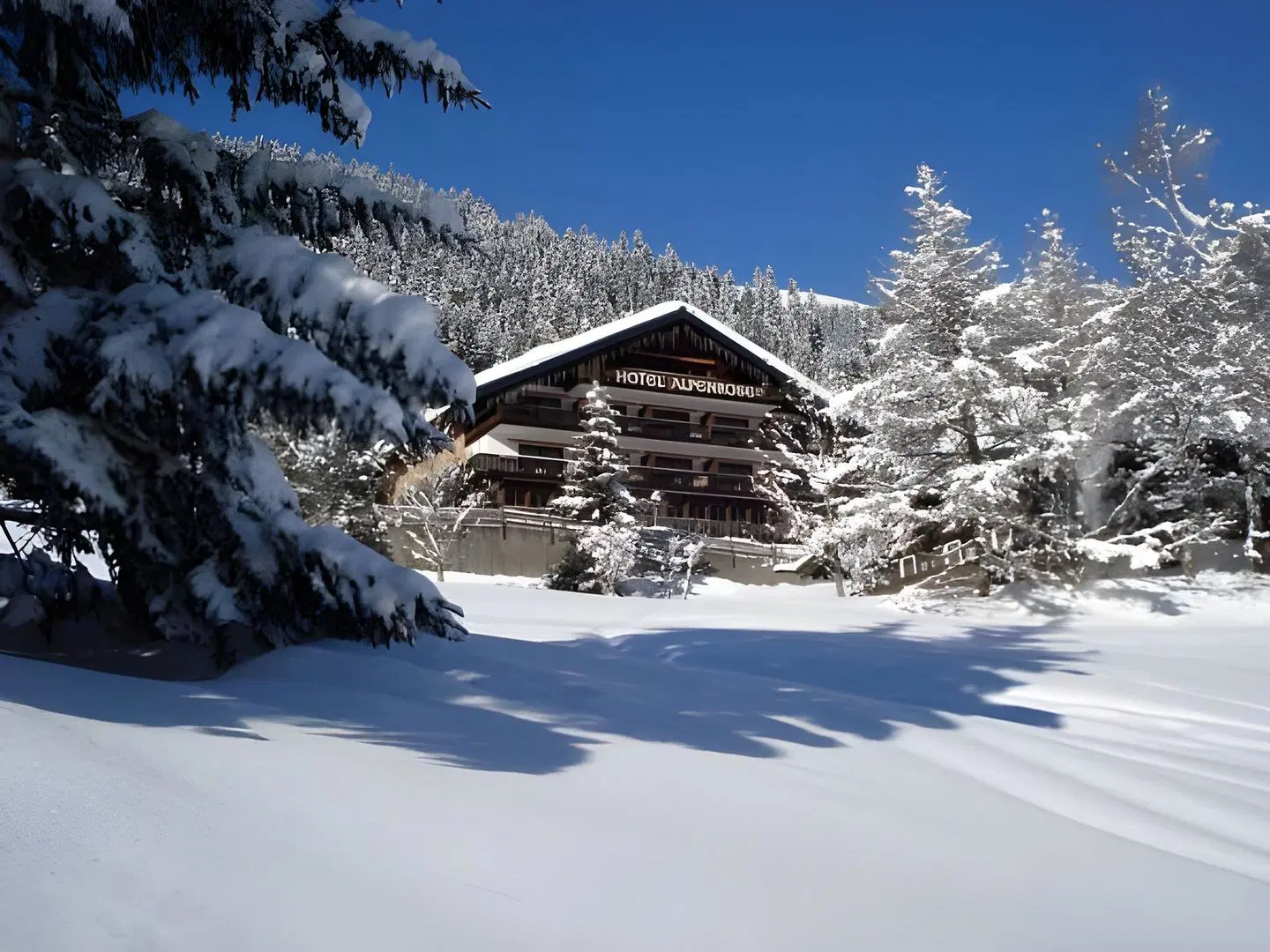 Hotel Alpenrose EXTERIOR