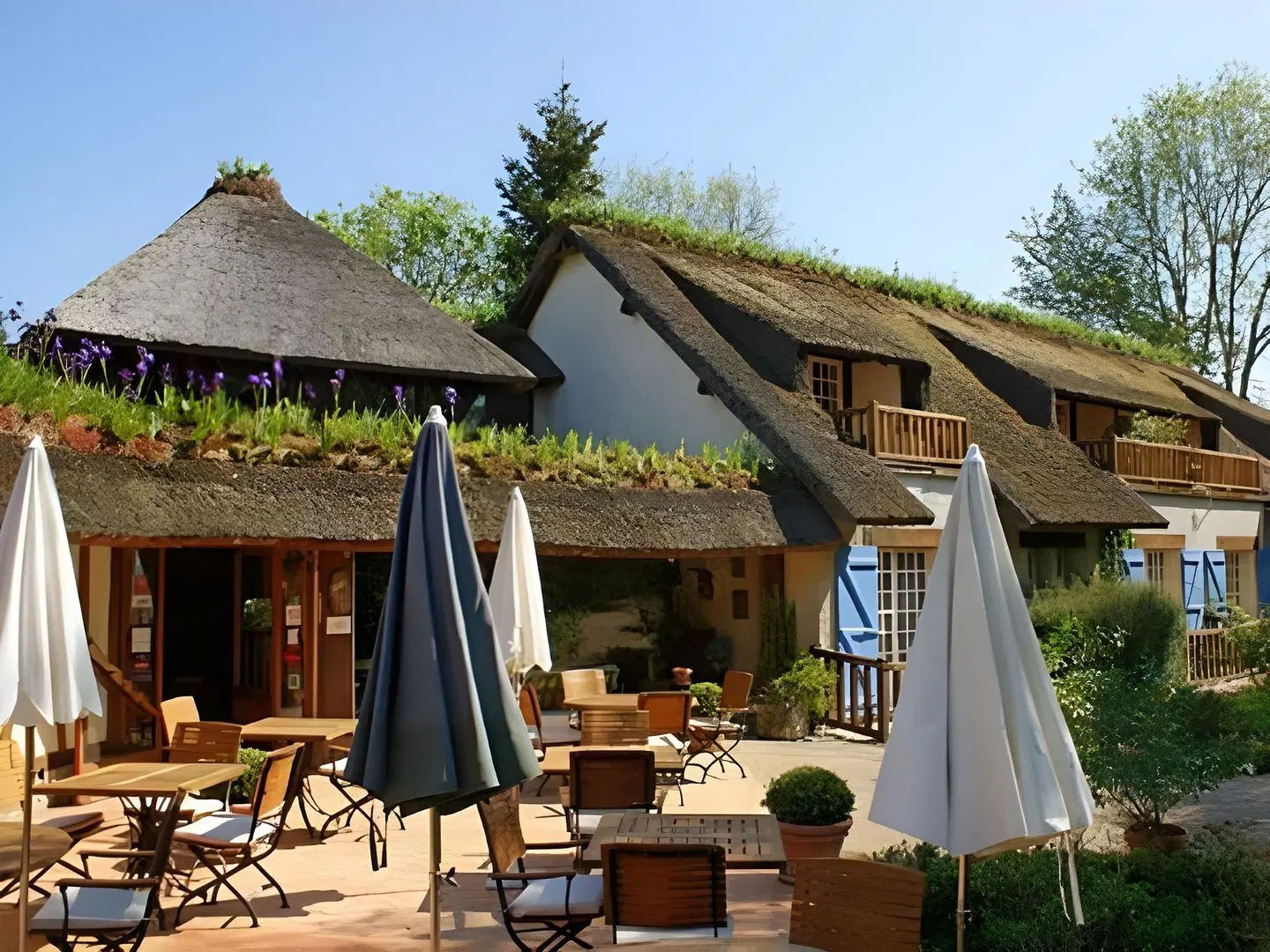 Le Petit Coq Aux Champs Chateaux Et Hote Terrasse