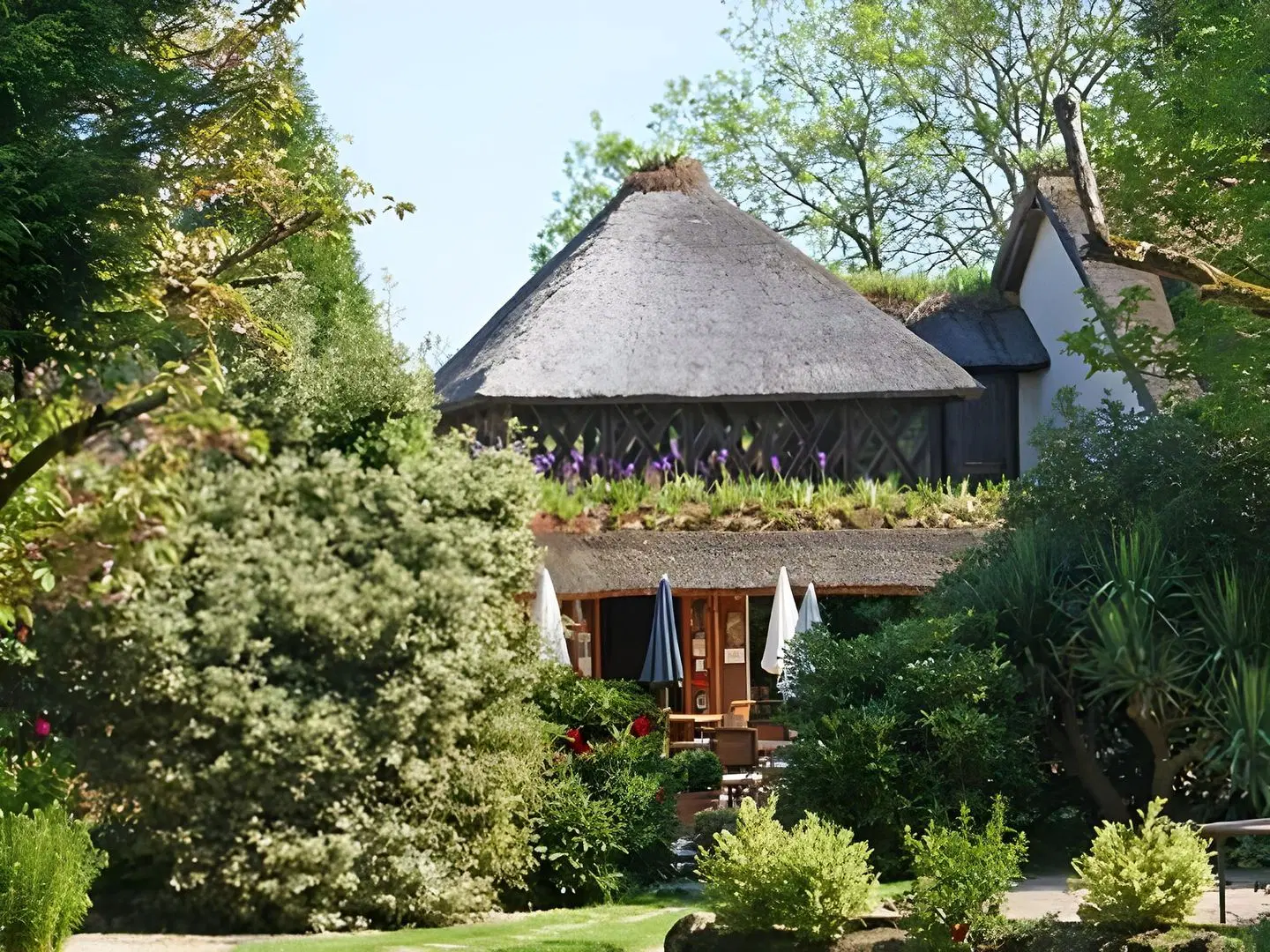 Le Petit Coq Aux Champs Chateaux Et Hote EXTERIOR