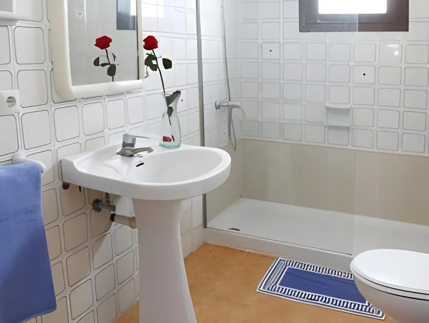 Typic Sandic Badezimmer