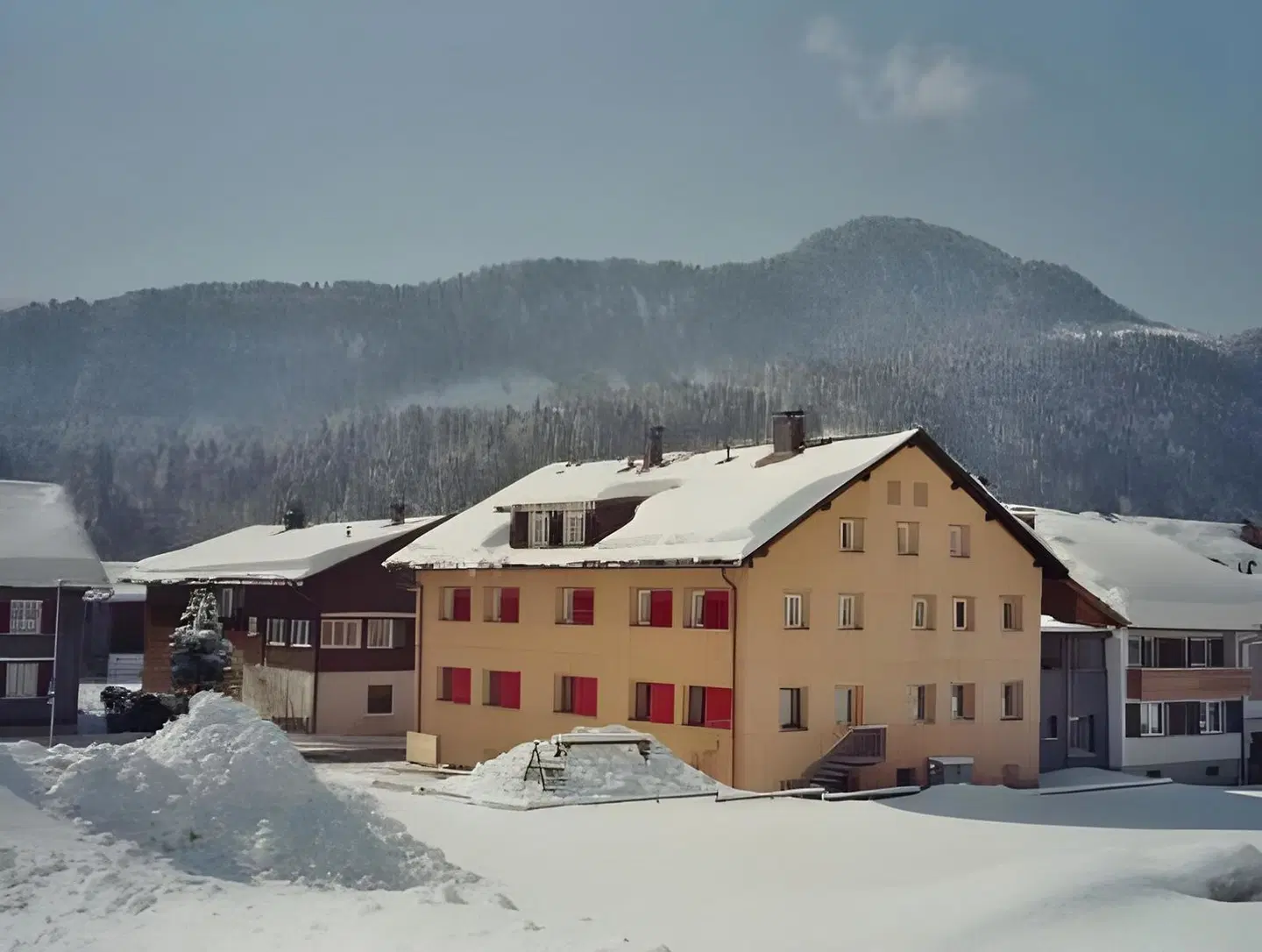 Taube EXTERIOR