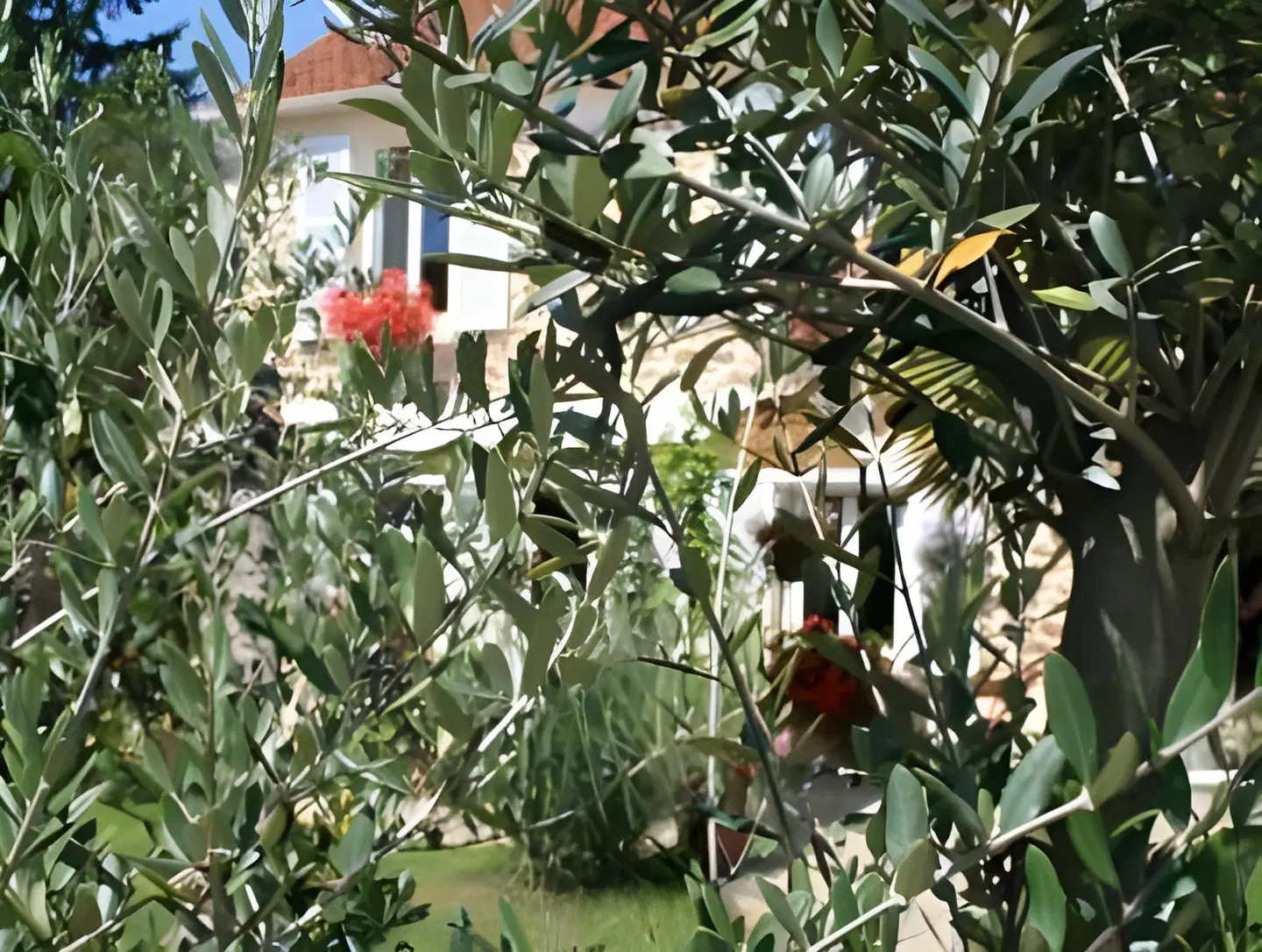 Le Petit Nailly GARDEN