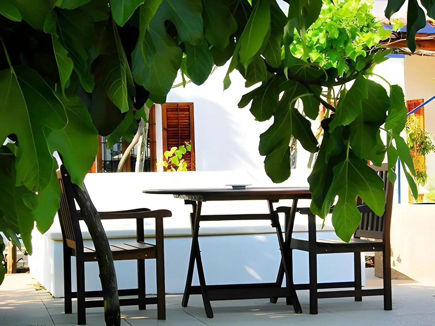 Finca Agroturismo Sa Vinya d'en Palerm Terrasse