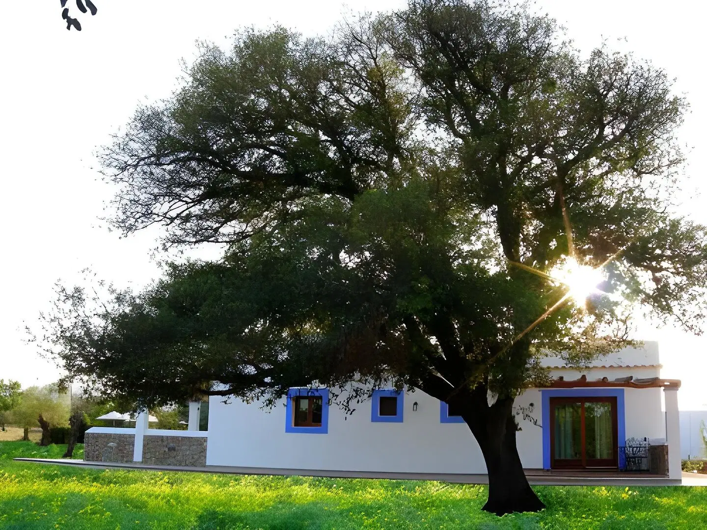 Finca Agroturismo Sa Vinya d'en Palerm Garten