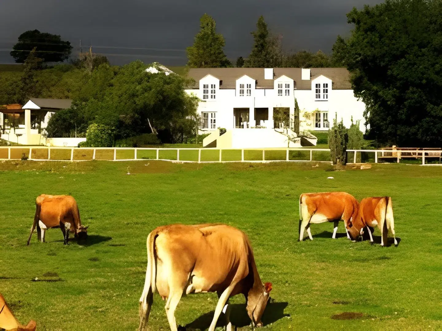Arumvale Country House Tiere
