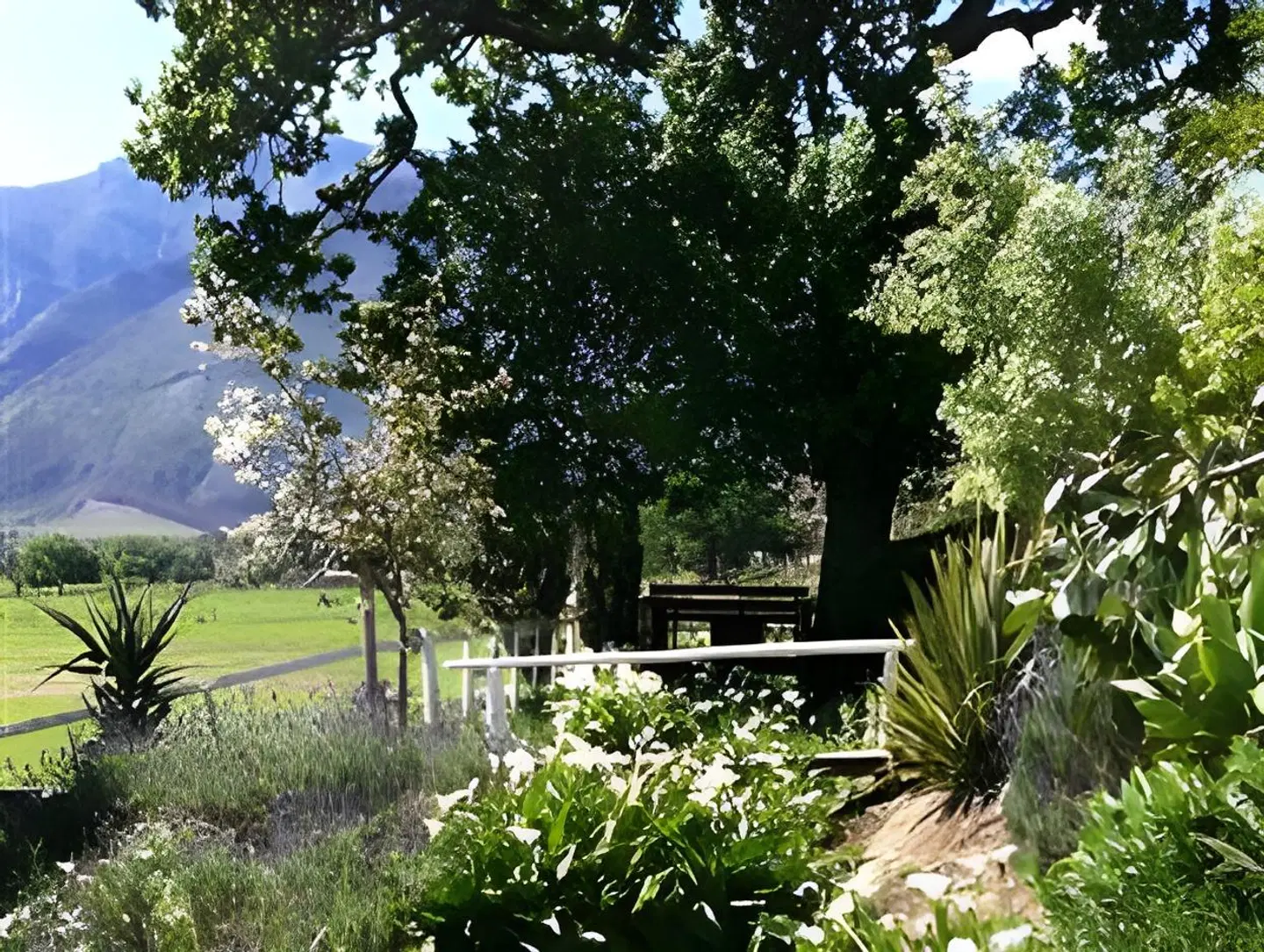 Arumvale Country House Garten