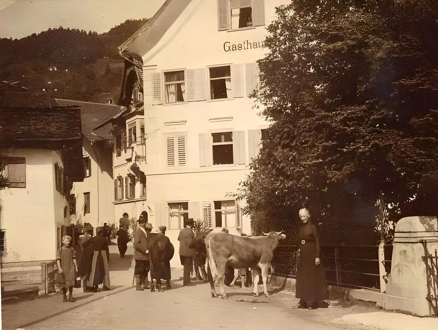 Hotel Restaurant Krone Tiere