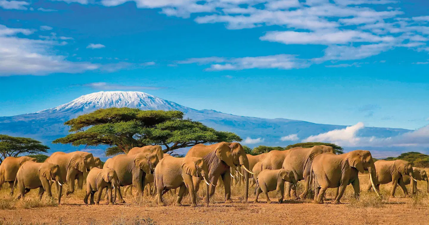 Tansania & Kenia Rundreise mit Baden Tiere