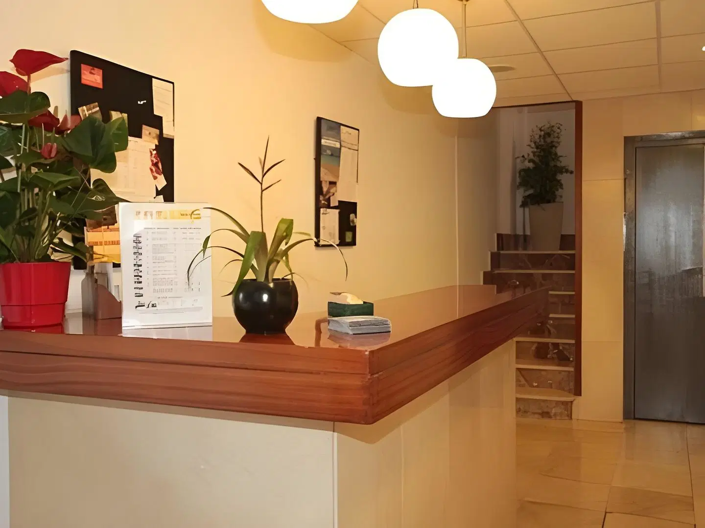 Ripoll Ibiza (Hostal) LOUNGE_LOBBY