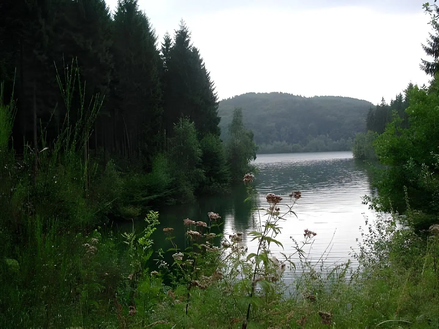 Meyer LANDSCAPE