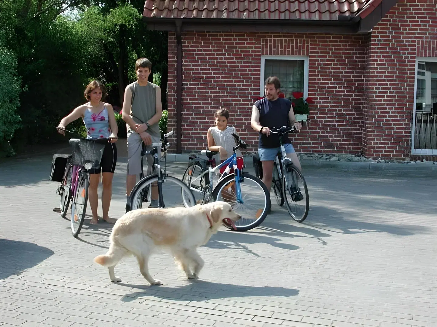 Zum Märchenwald Tiere