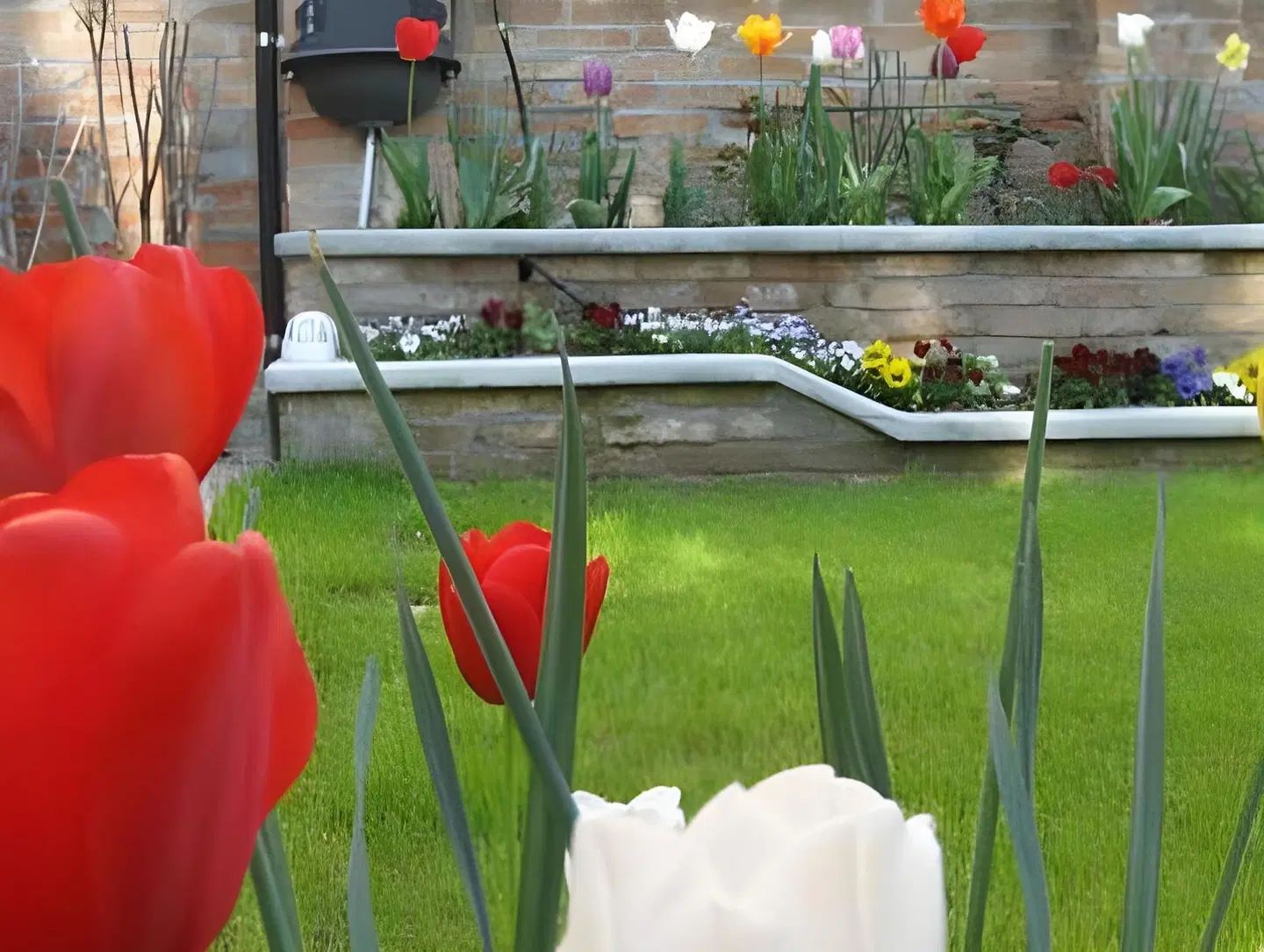 B&B Casa delle Rose SPORTS_AND_LEISURE