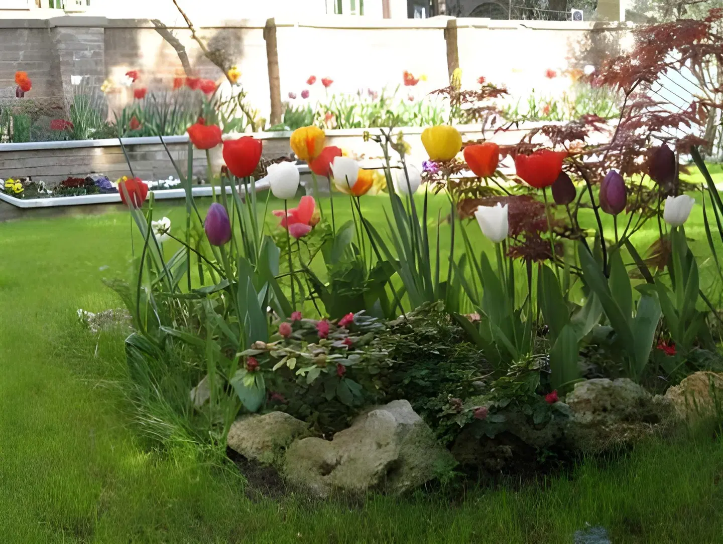 B&B Casa delle Rose Garten
