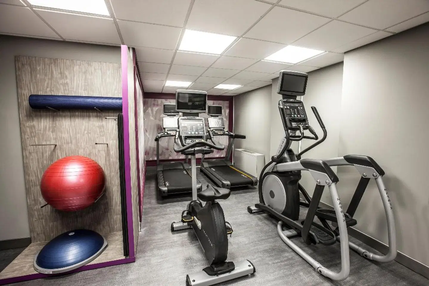 Crowne Plaza Niagara Falls-Fallsview SPORTS_AND_LEISURE
