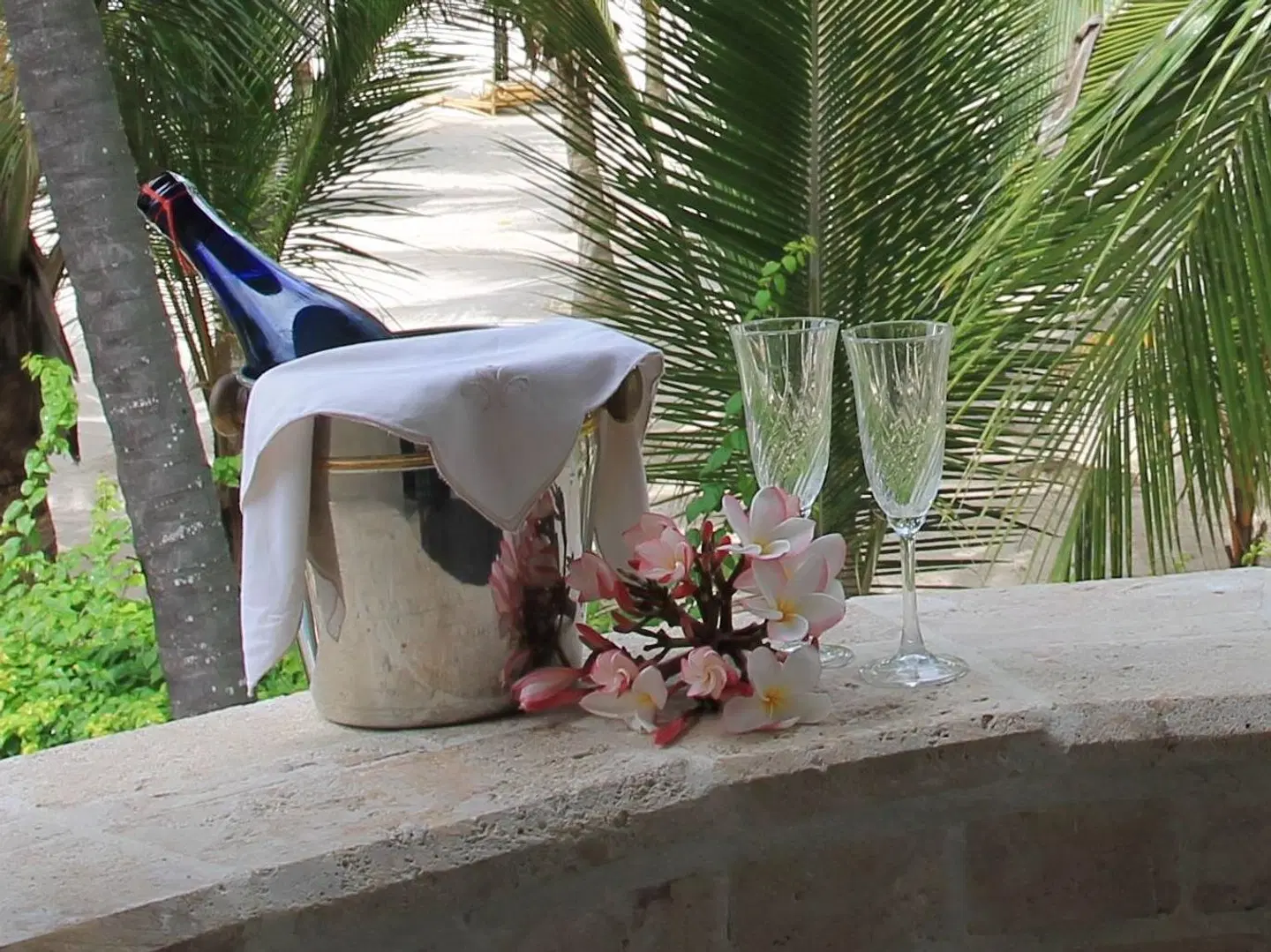 The Maji Beach Boutique Hotel Tiere