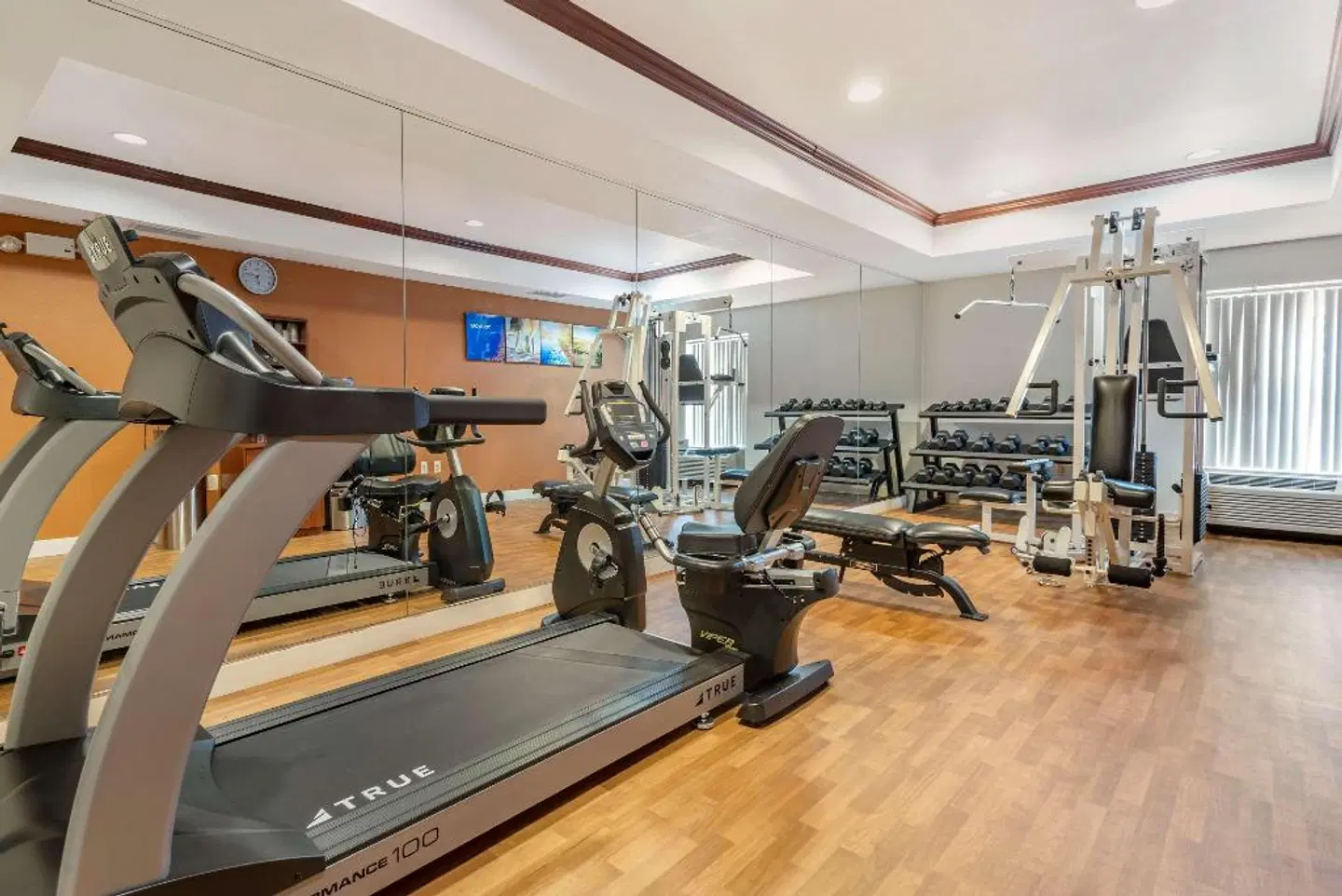 Comfort Suites Newark SPORTS_AND_LEISURE