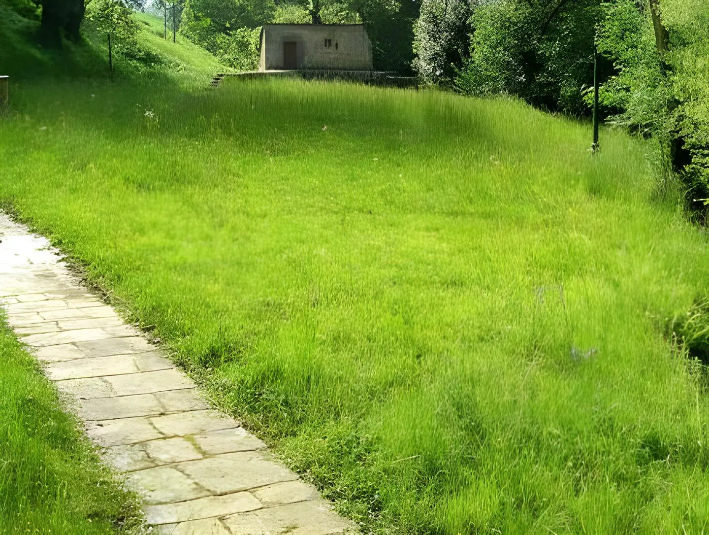 Apartamentos Toraya Garten