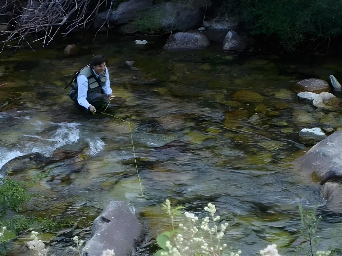 El Canto del Gallo Tiere