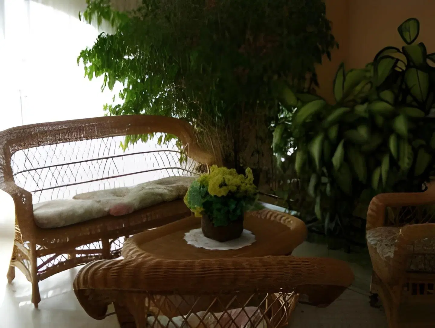 Hostal El Cruce Terrasse
