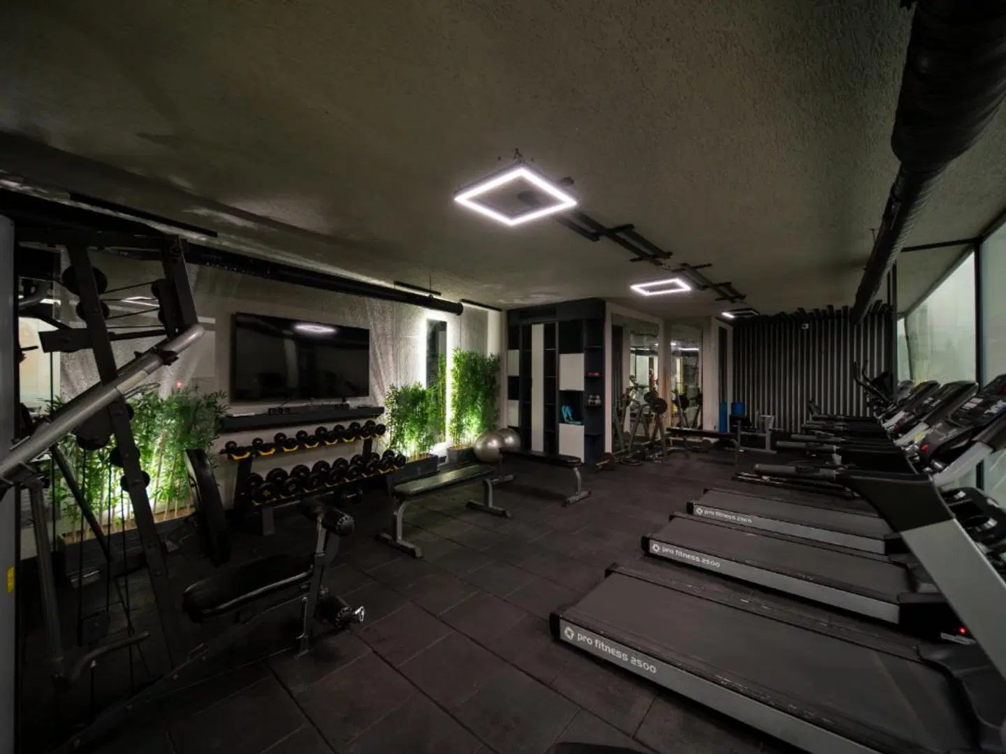 Ambrosia SPORTS_AND_LEISURE