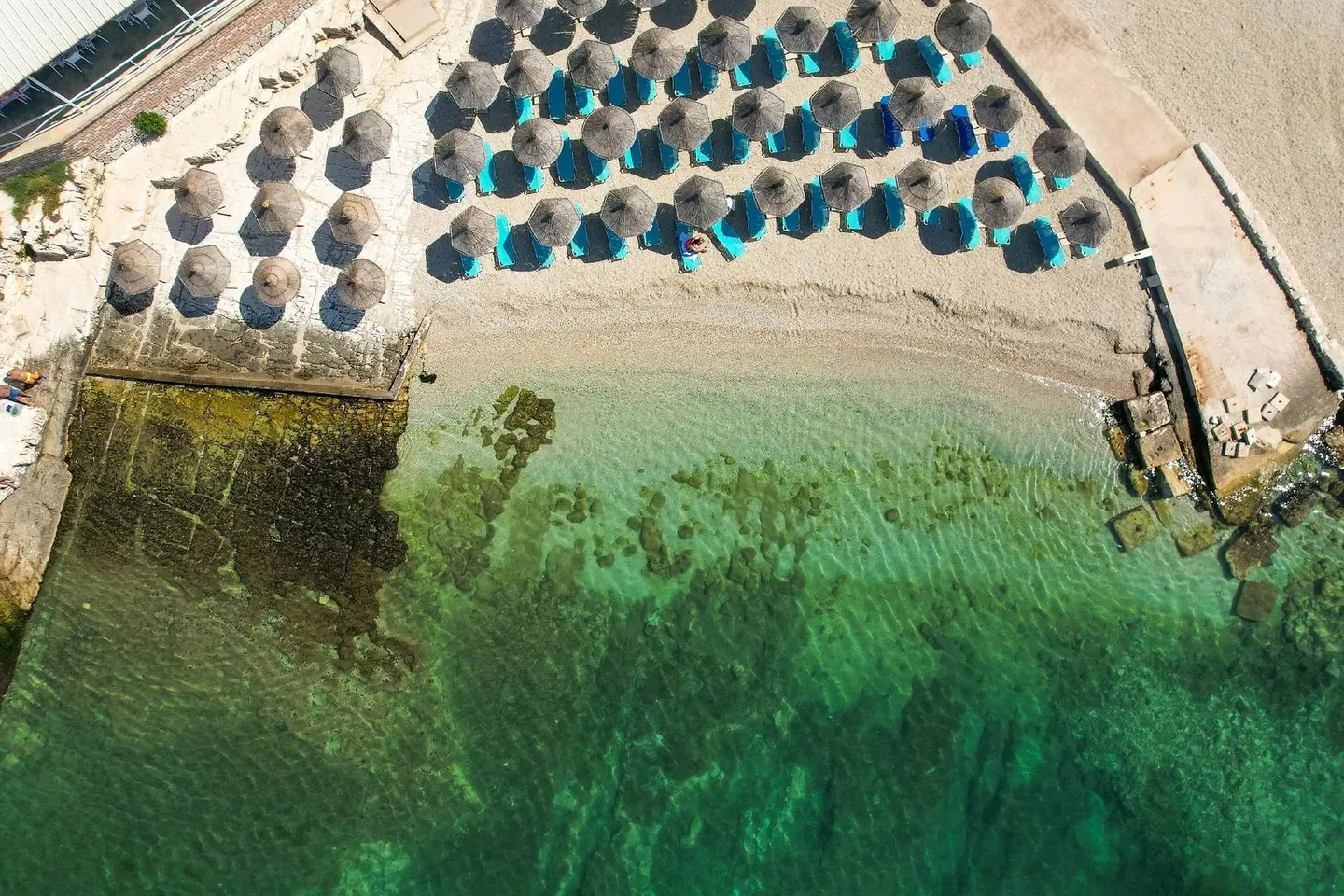 Oceanic Overview Suites Tiere