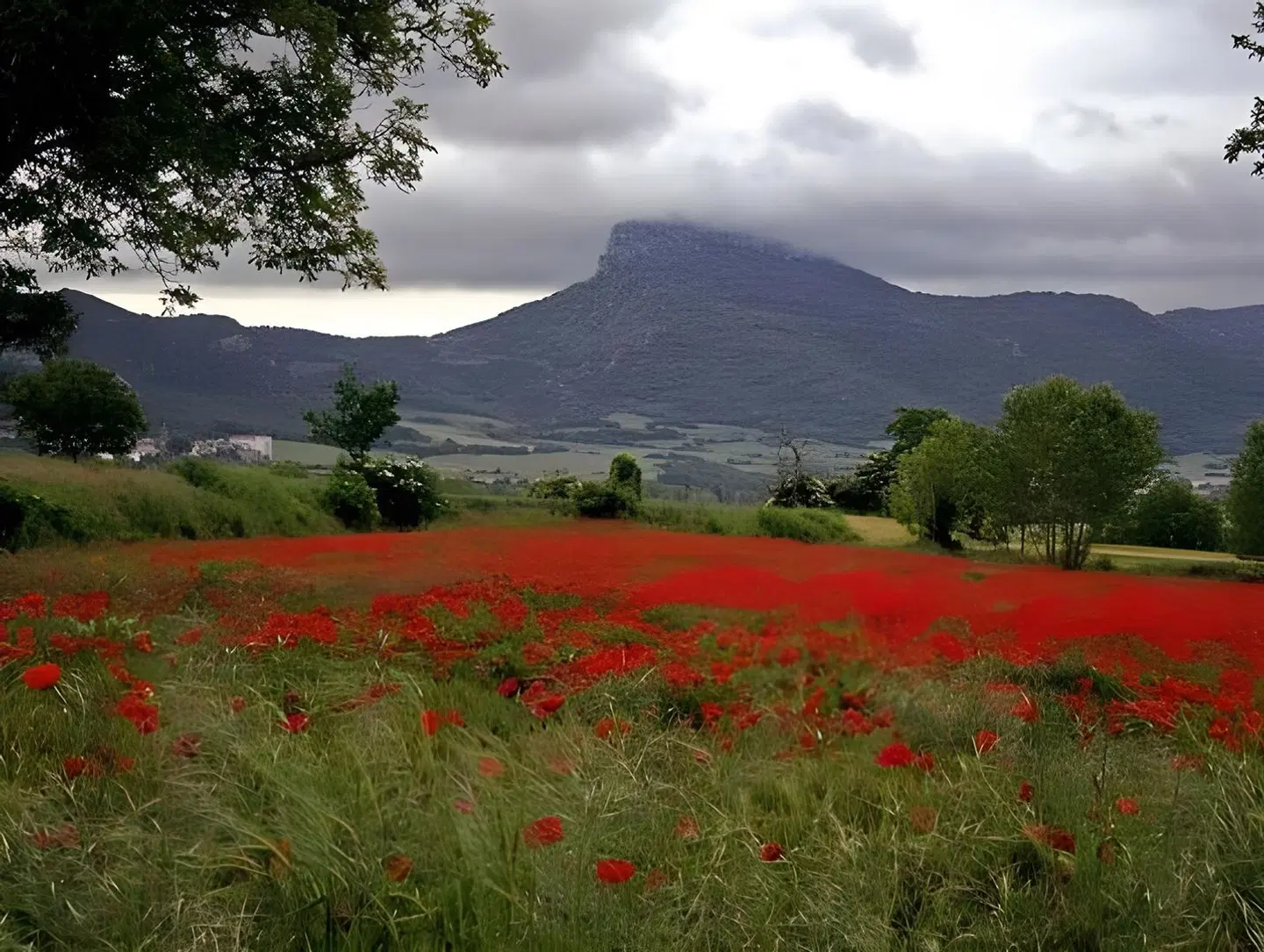 Rural Los Roturos SPORTS_AND_LEISURE