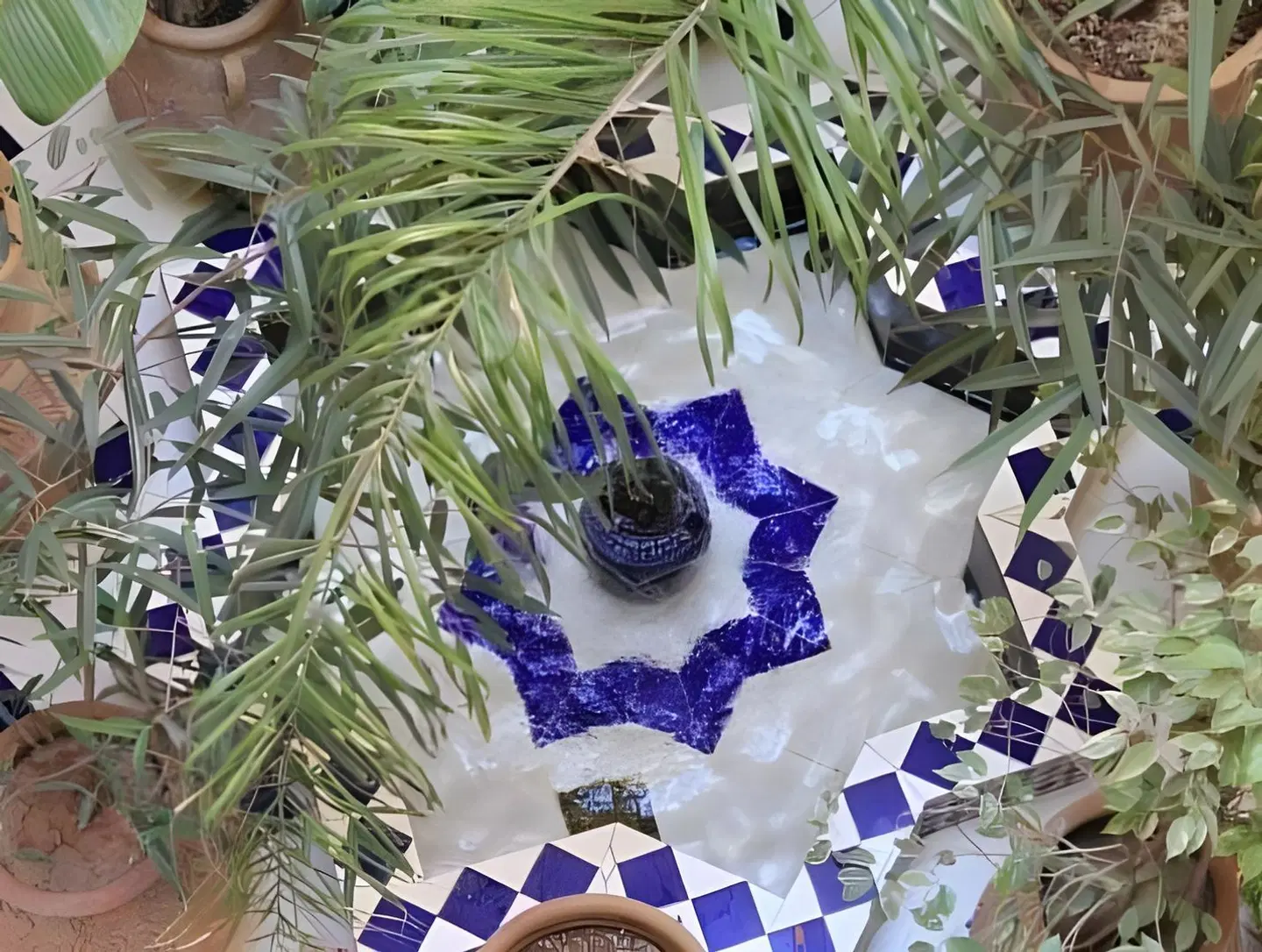 Hotel Sherazade Tiere