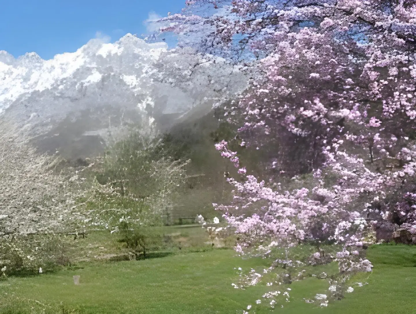 El Jisu LANDSCAPE