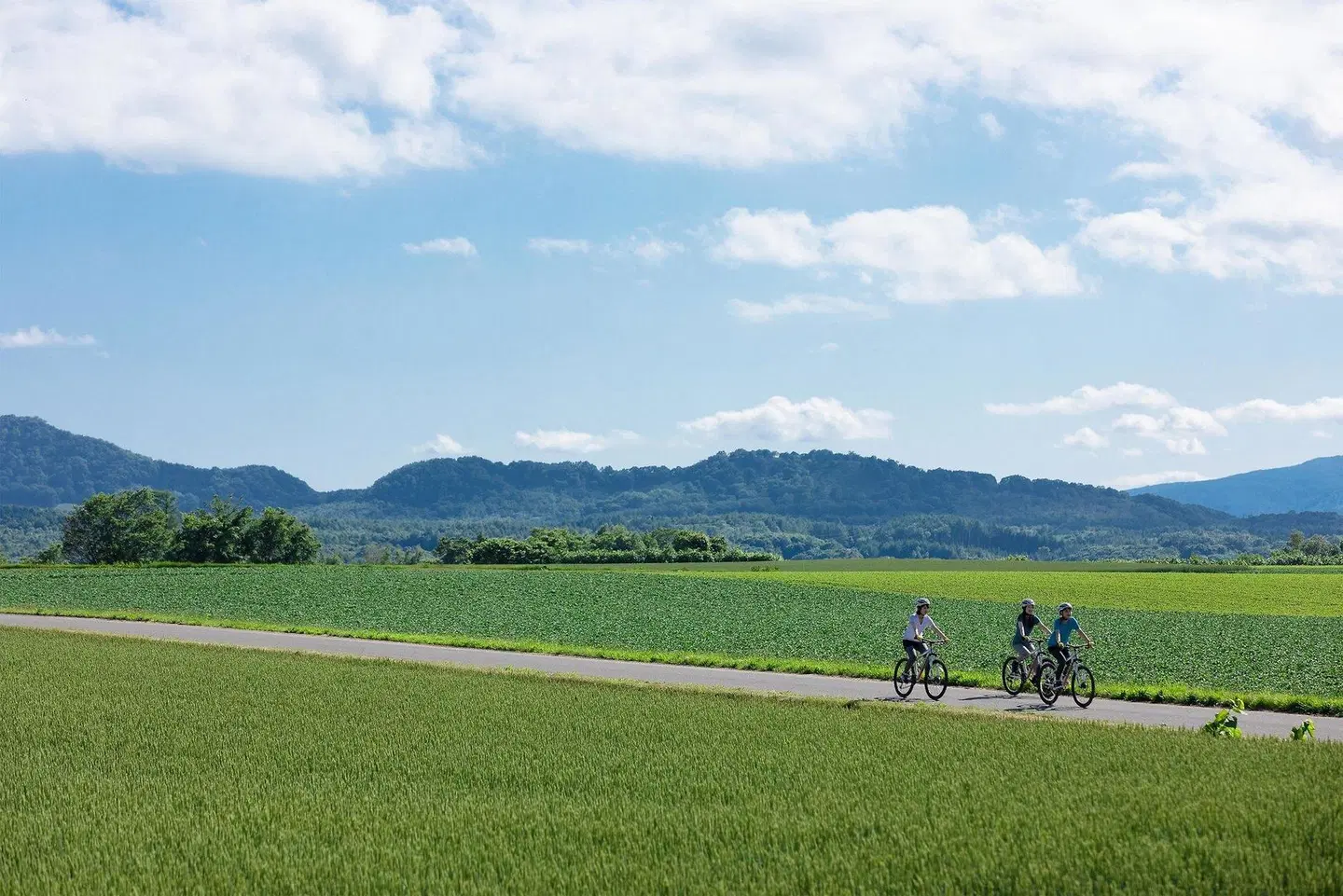The Westin Rusutsu Resort SPORTS_AND_LEISURE