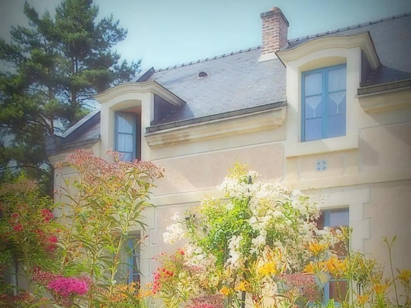 Les Roses de Montherlant EXTERIOR
