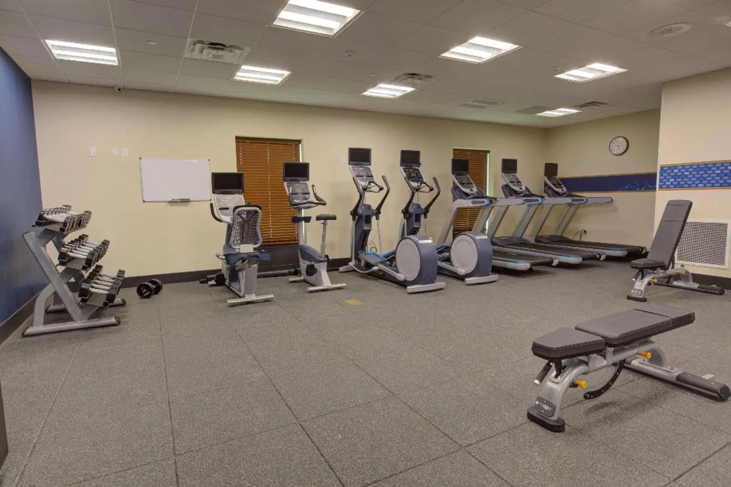 Hampton Inn & Suites Tampa Busch Gardens Area SPORTS_AND_LEISURE