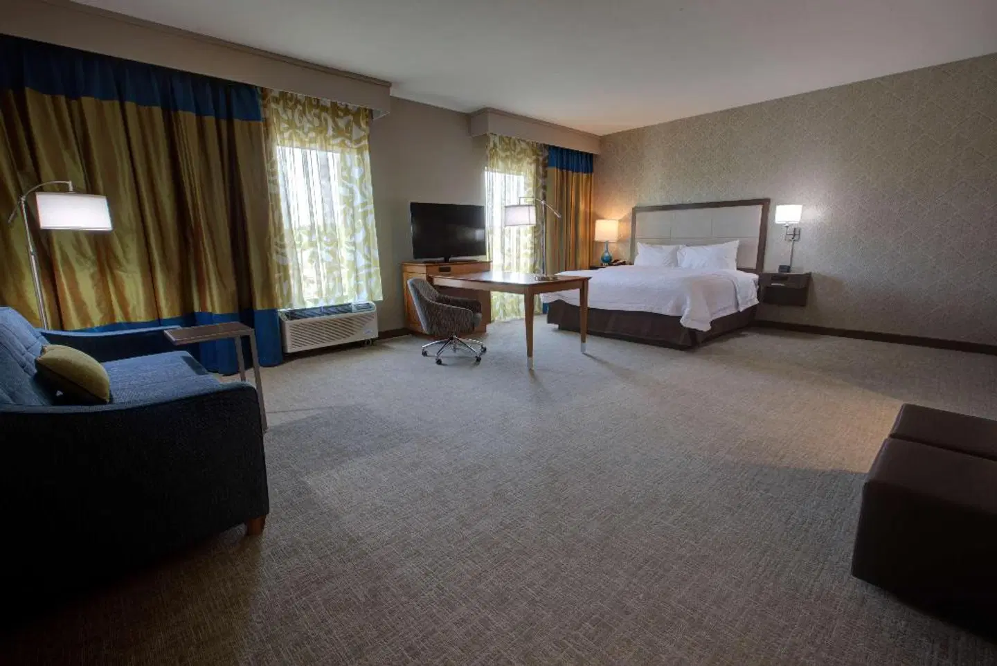 Hampton Inn & Suites Tampa Busch Gardens Area ROOM_EXAMPLE