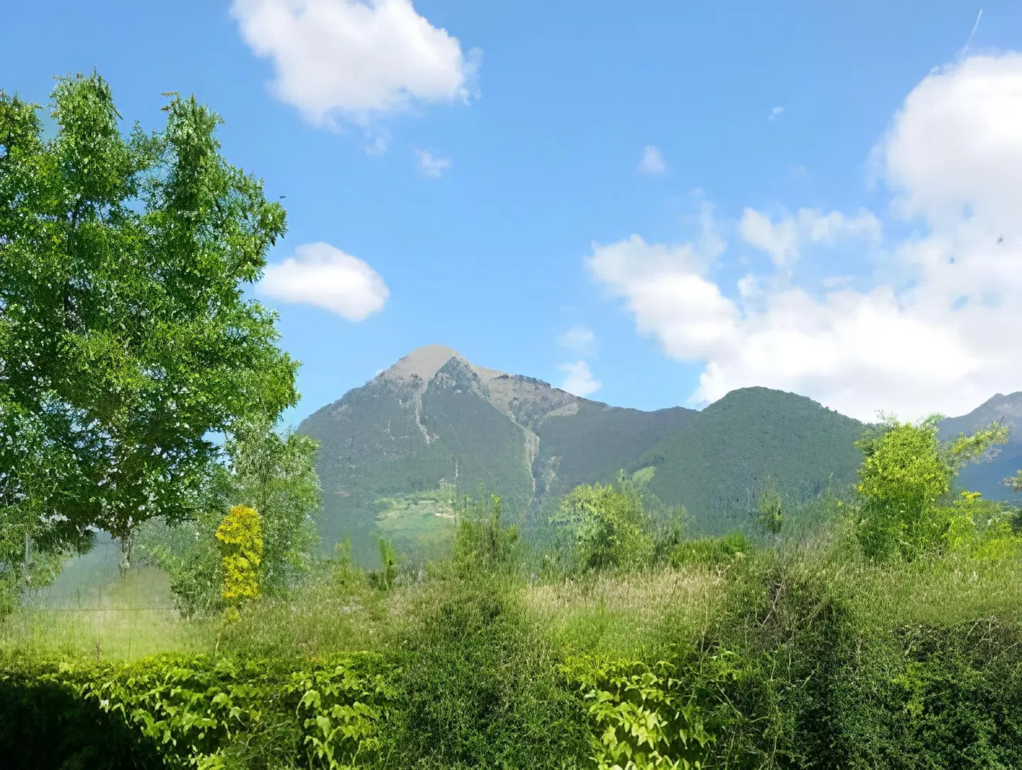 Hotel Appartement Inge LANDSCAPE
