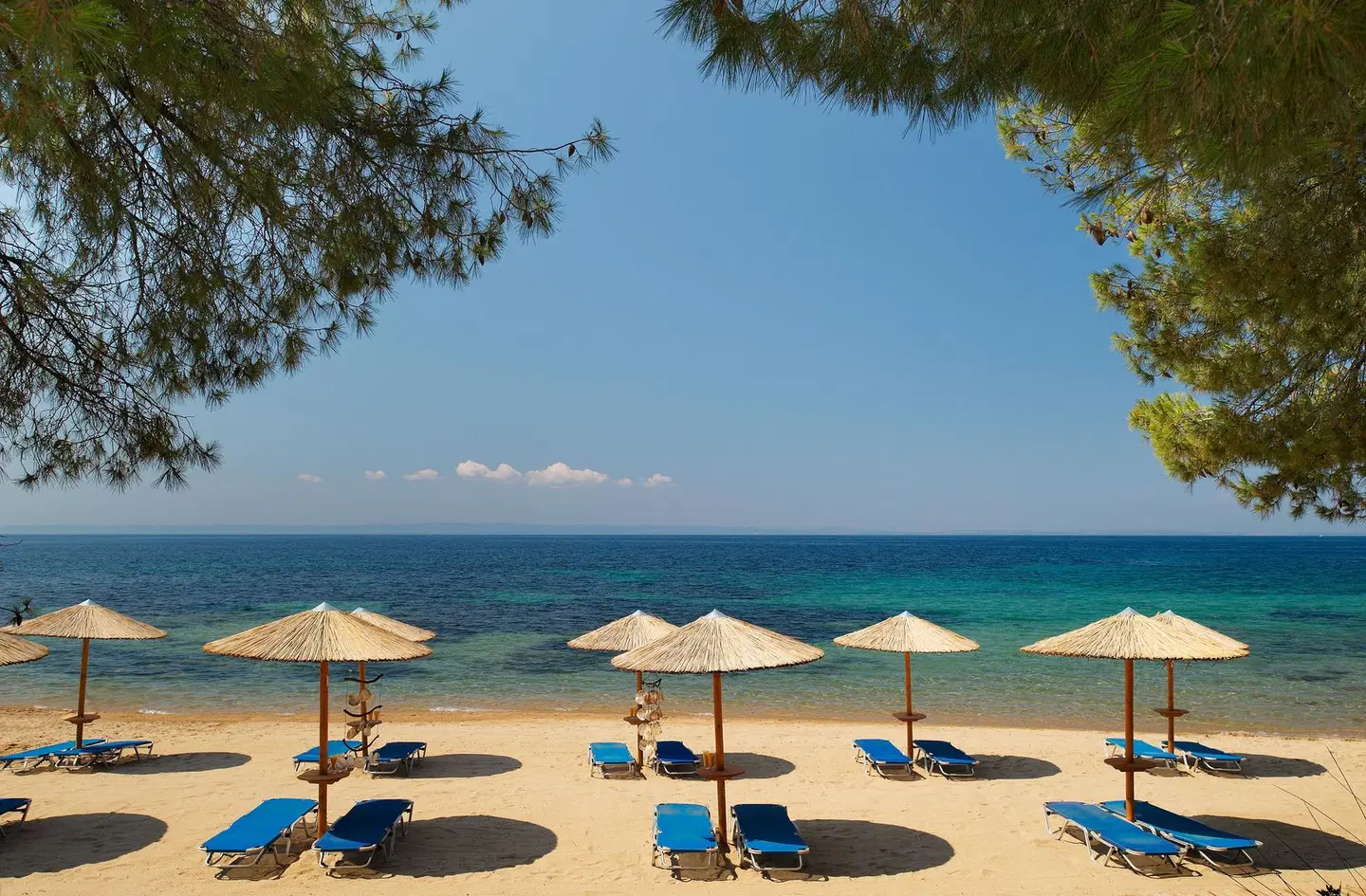 Blue Dolphin Strand