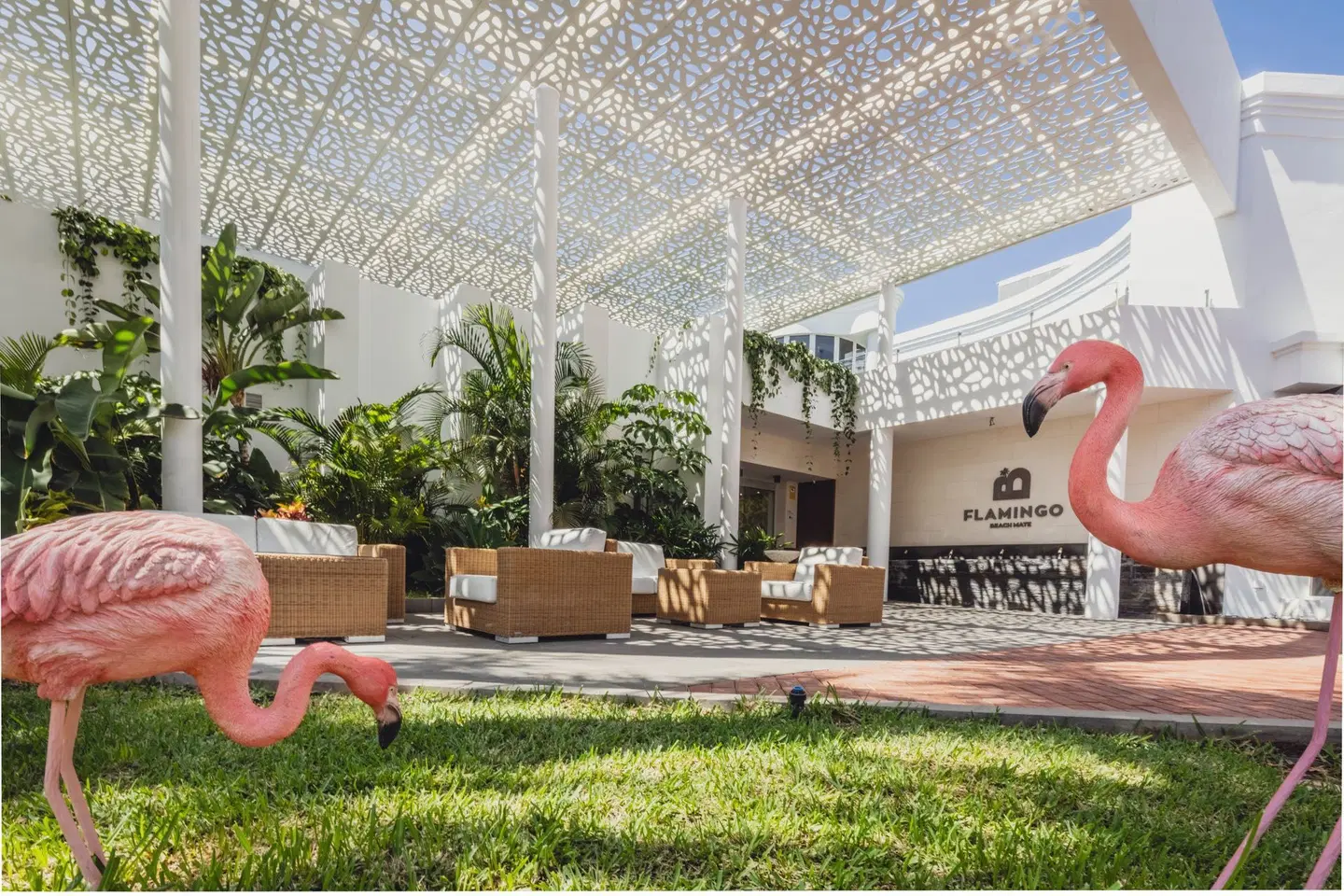 Flamingo Beach Mate Garten