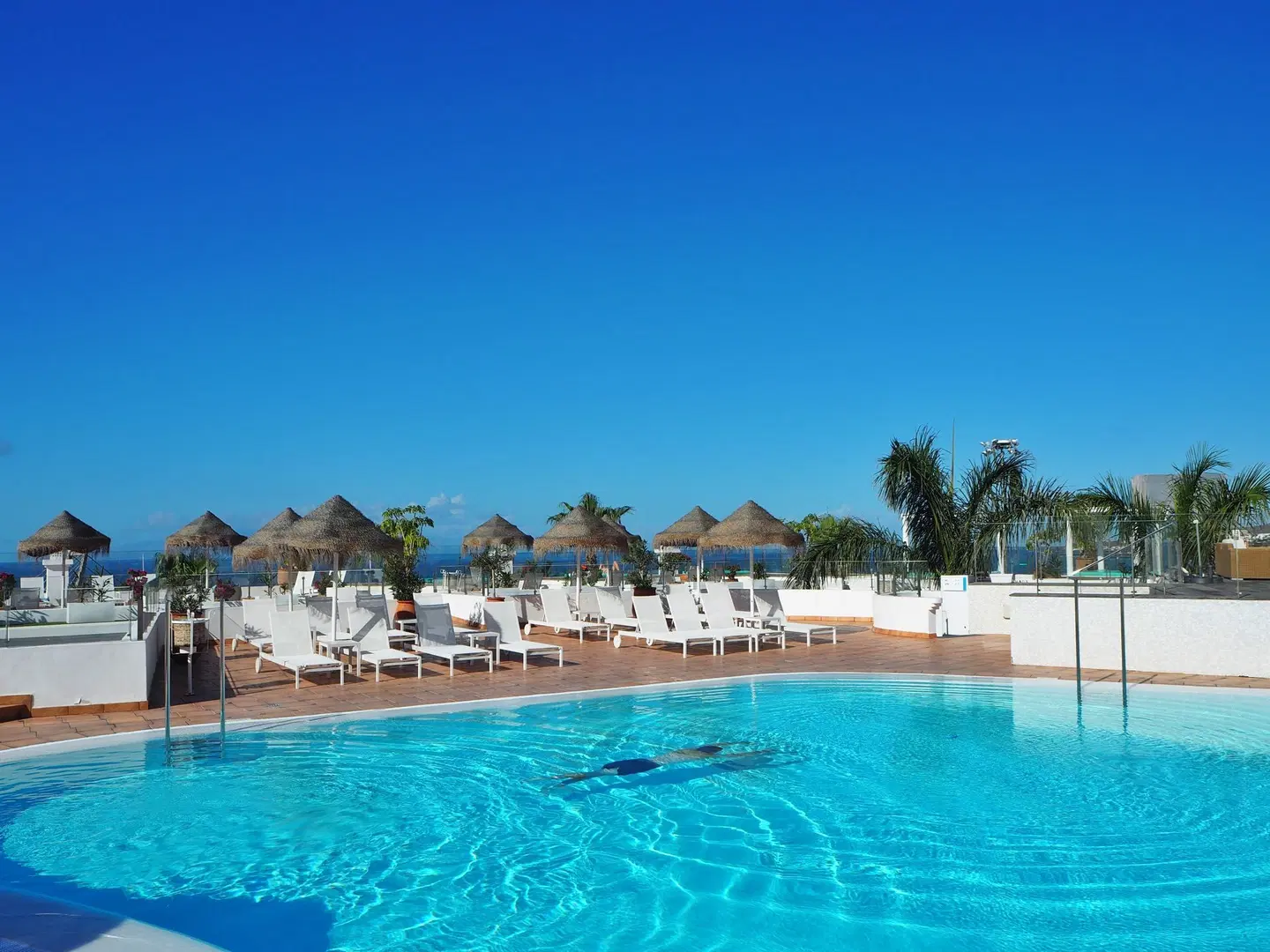 Flamingo Beach Mate OUTDOOR_POOL