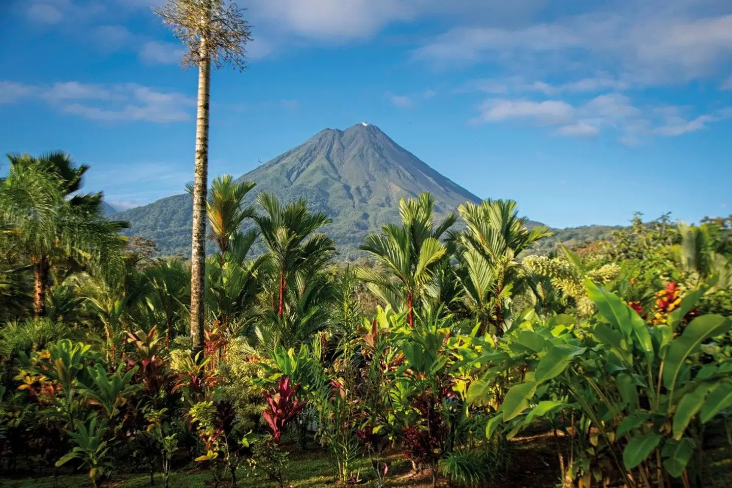 Costa Rica - auf die feine Art entdecken Garten