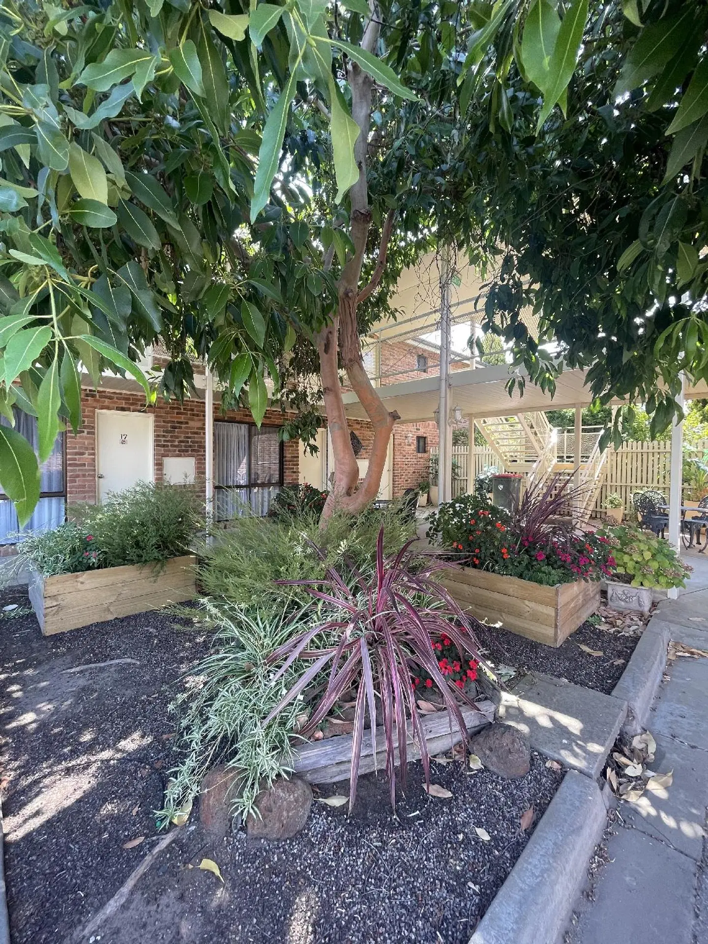 Paddlewheel Motel Garten