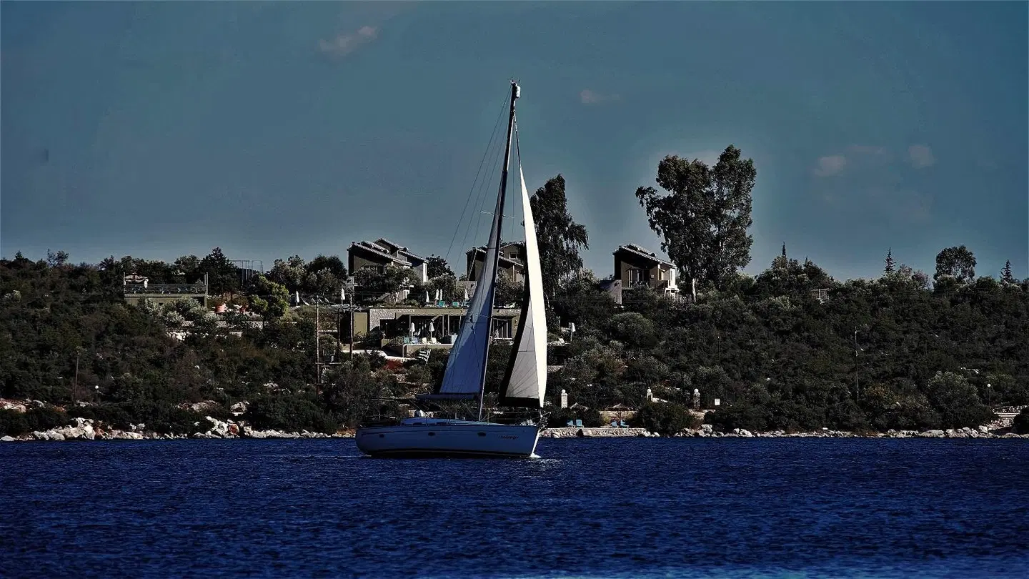 Lavender Cove SPORTS_AND_LEISURE