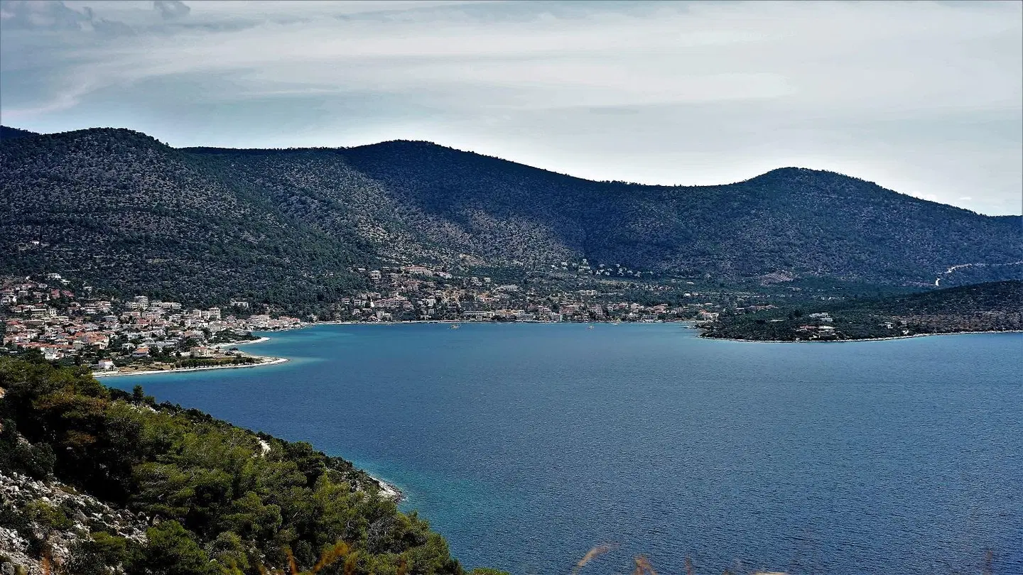 Lavender Cove LANDSCAPE