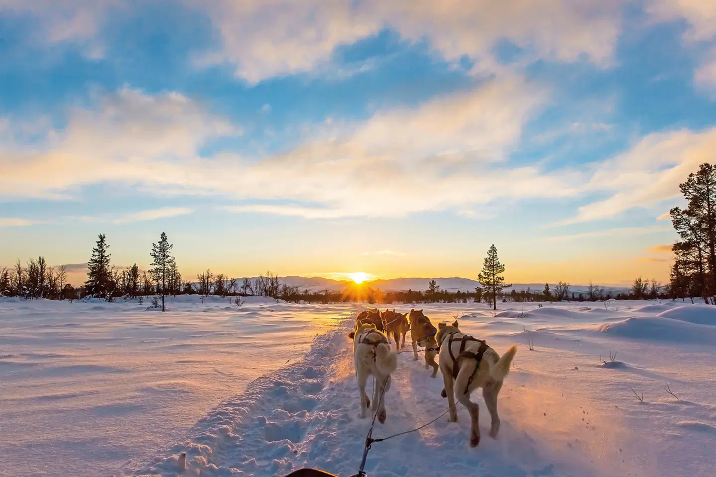 Aurora Village - Northern Lights SPORTS_AND_LEISURE