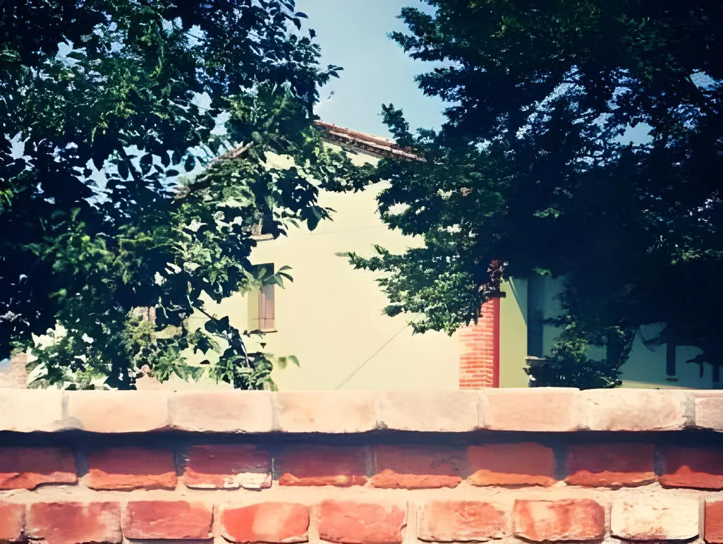 Agriturismo Bassanine LANDSCAPE